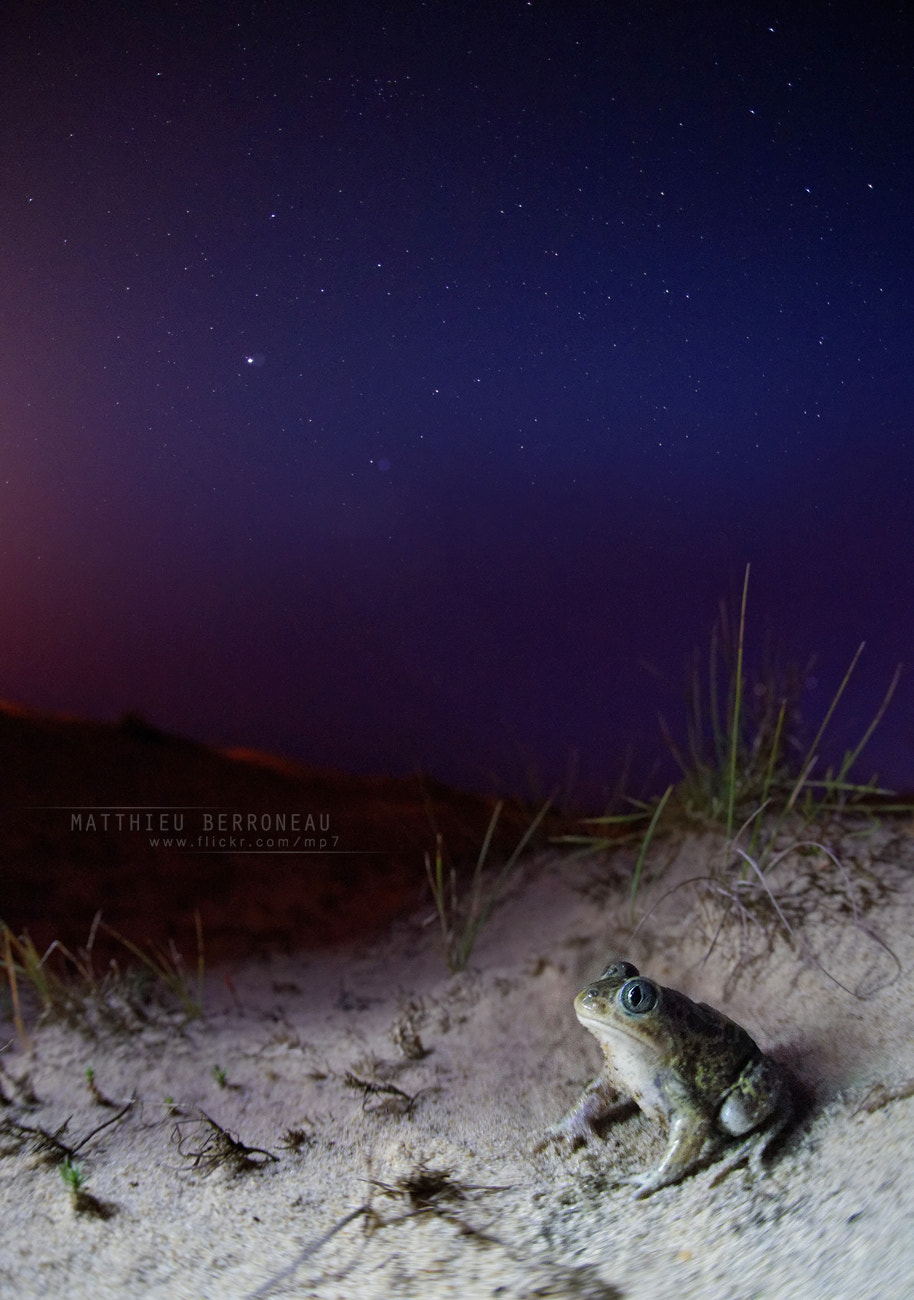 Sony a7 II + Sigma 15mm F2.8 EX DG Diagonal Fisheye sample photo. Epic night photography