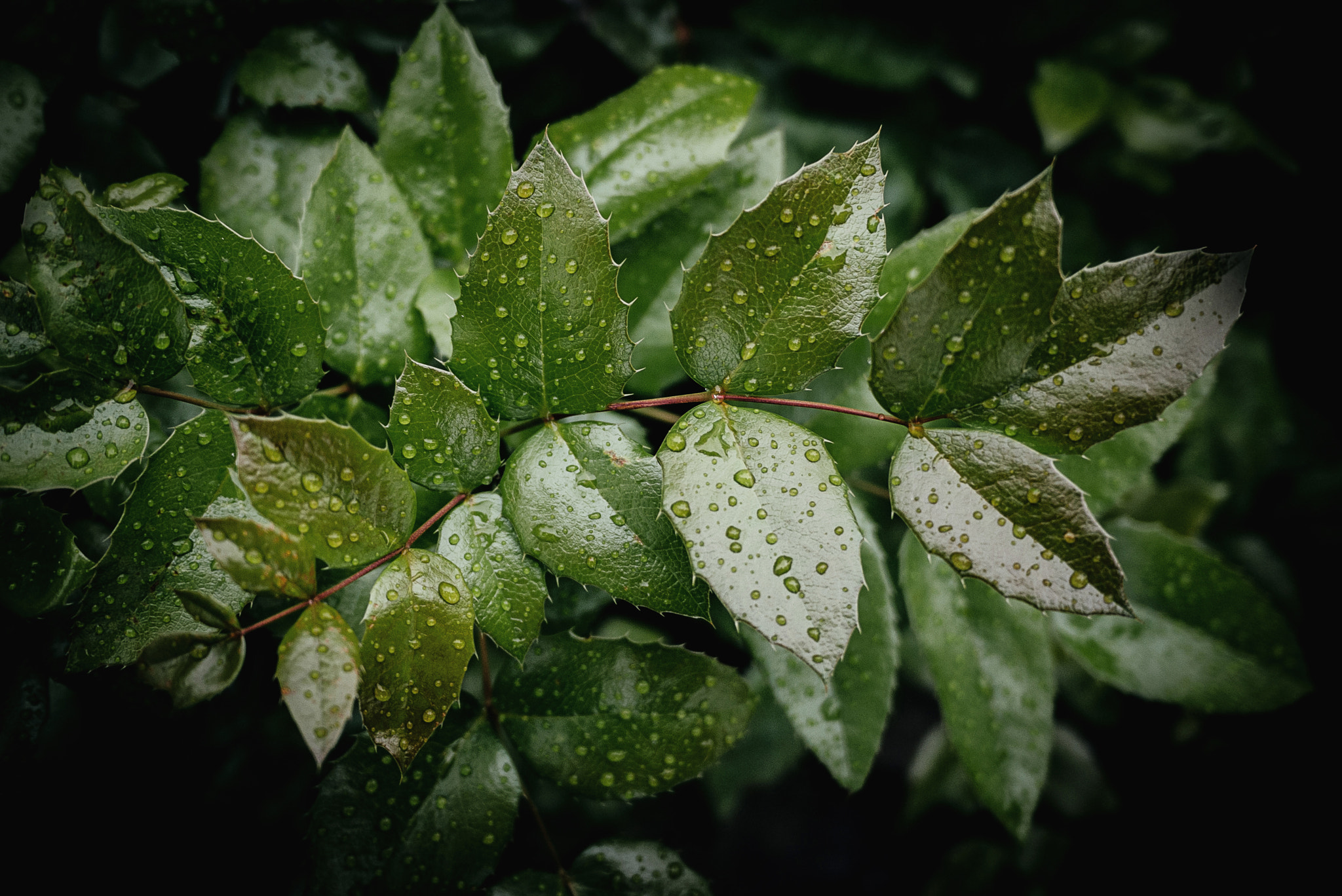 Panasonic Lumix DMC-GF3 + Panasonic Lumix G 14mm F2.5 ASPH sample photo. *** photography