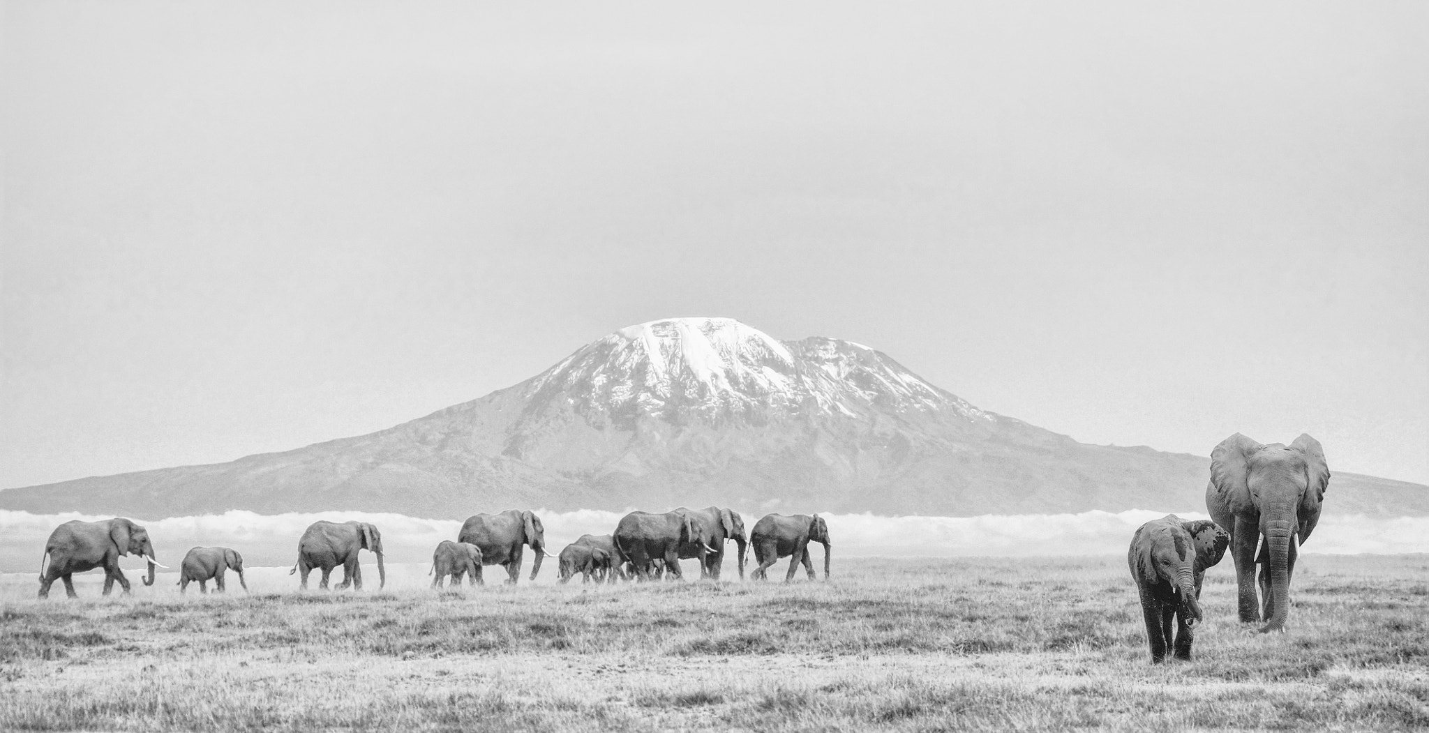 Sony Alpha NEX-C3 sample photo. Kilimanjaro photography