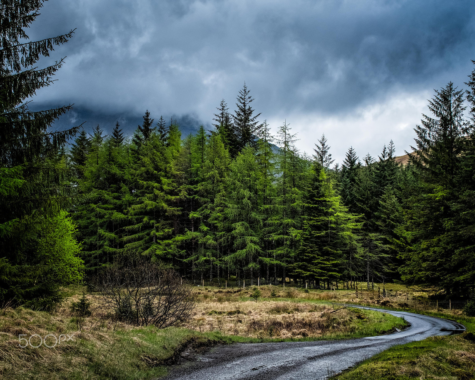 Fujifilm X-Pro2 + ZEISS Touit 32mm F1.8 sample photo. Winding road photography