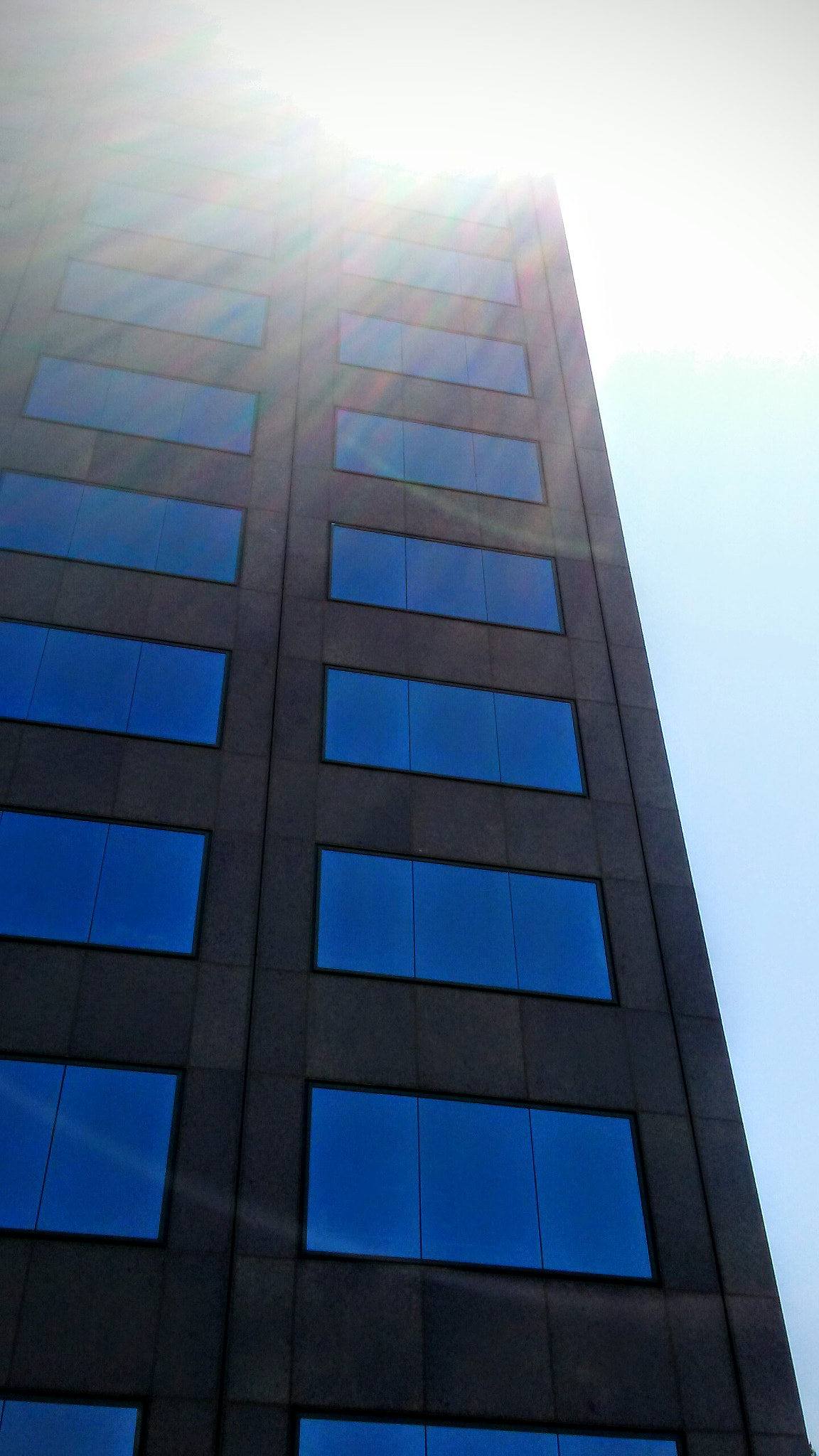 LG M1 sample photo. Universal windows photography