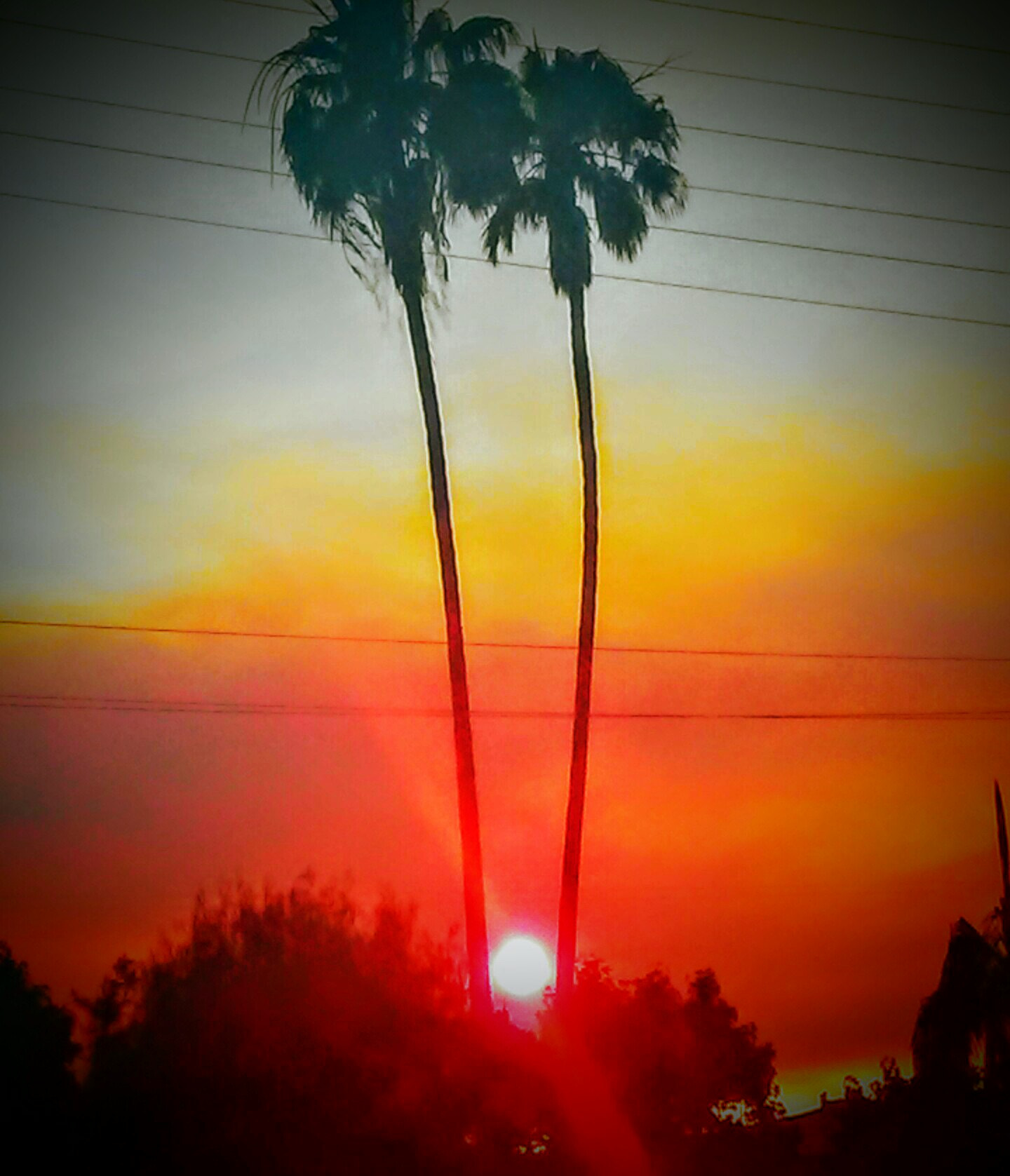 LG M1 sample photo. Another hotel california. photography