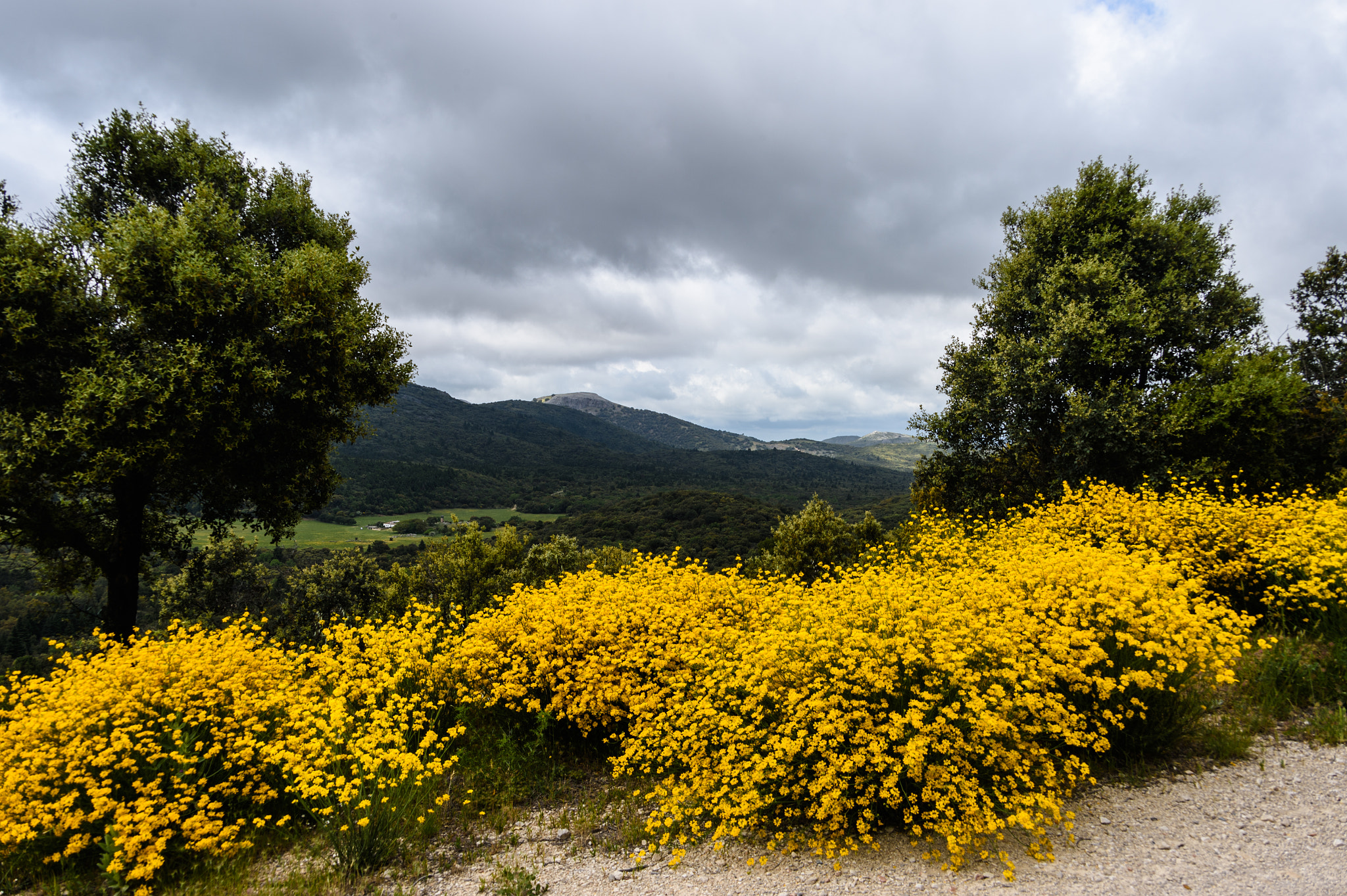 Nikon Df sample photo. Sierra de las nieves photography
