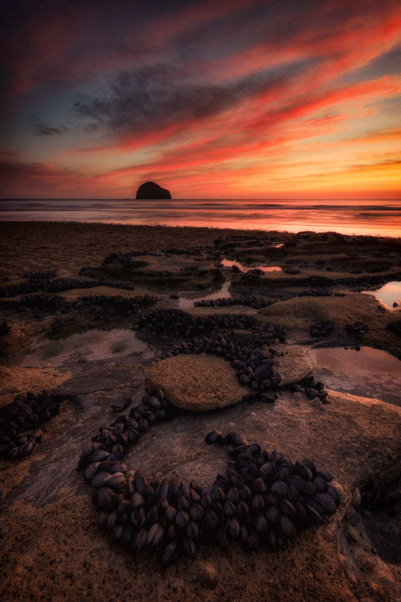 Sigma AF 10-20mm F4-5.6 EX DC sample photo. Treknow beach photography