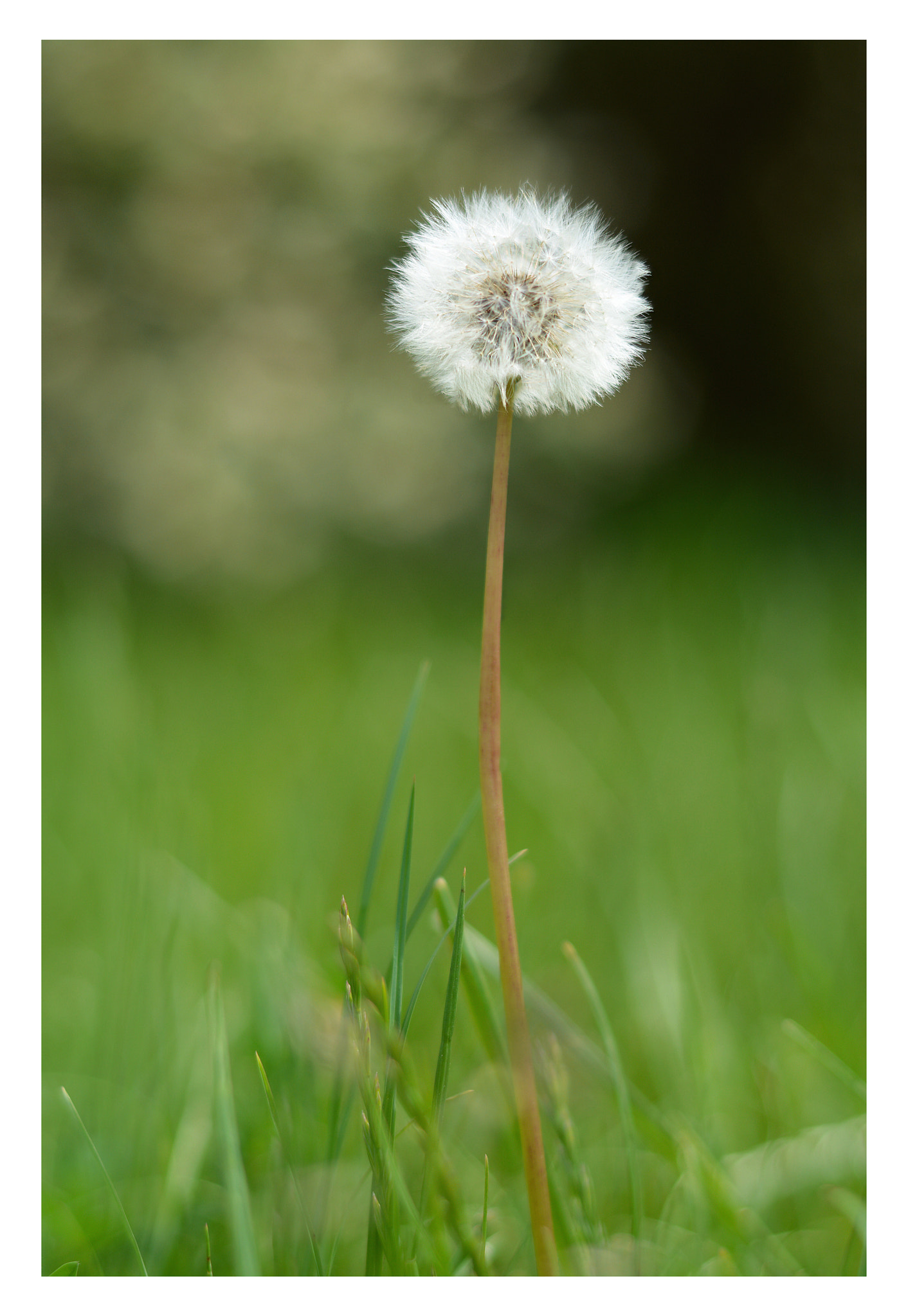 Nikon D7100 + Nikon AF-S Nikkor 28mm F1.8G sample photo. The last one... photography