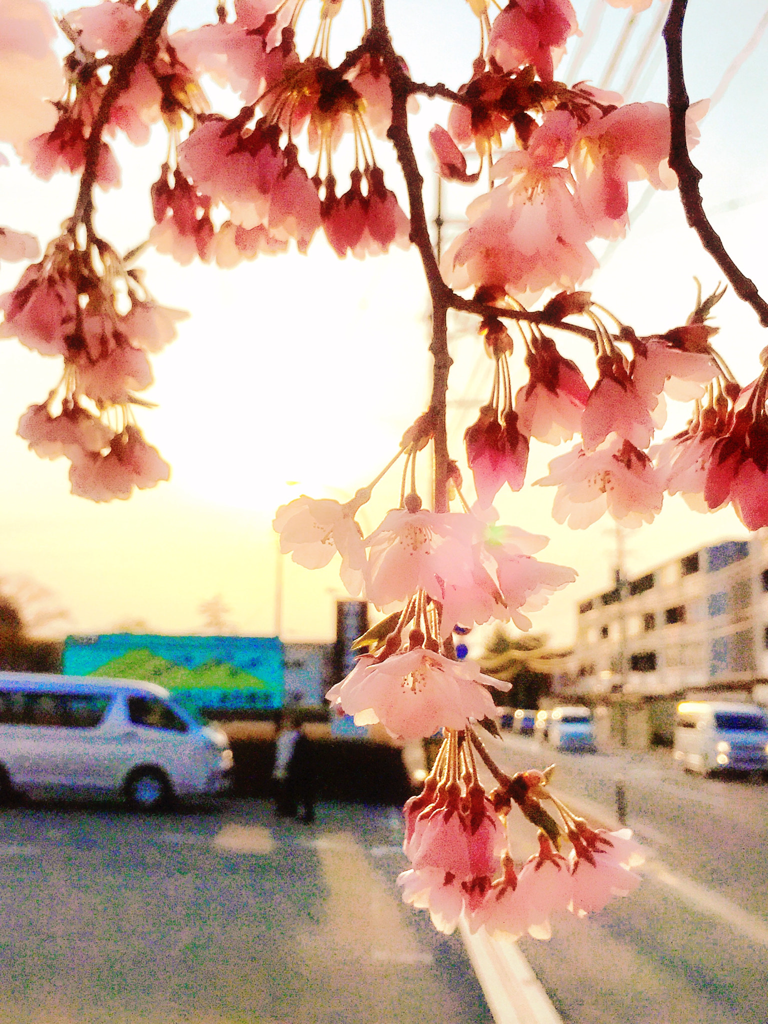 Apple iPhone7,1 sample photo