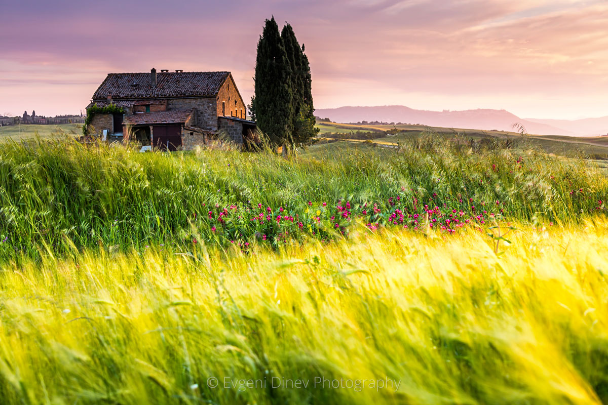 Canon EF 70-200mm F4L IS USM sample photo. Val d'orcia photography