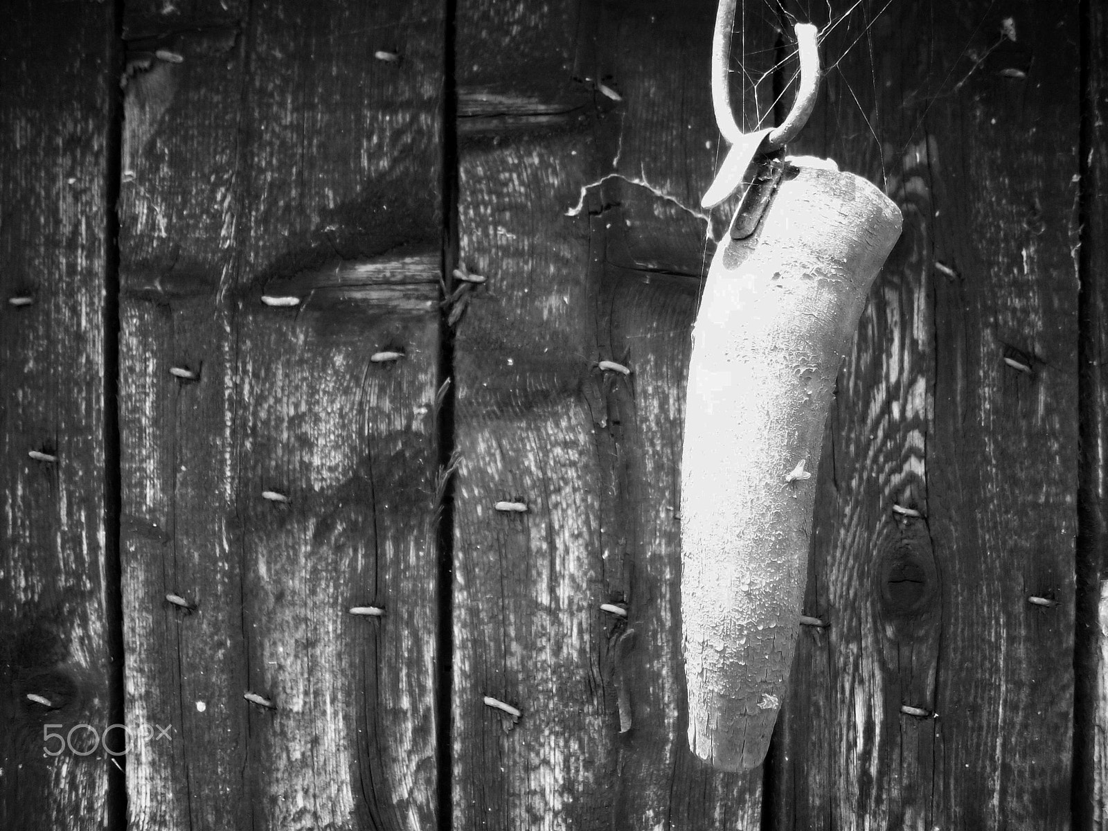Kodak EASYSHARE M753 ZOOM DIGITAL CAMERA sample photo. Old cow horn photography