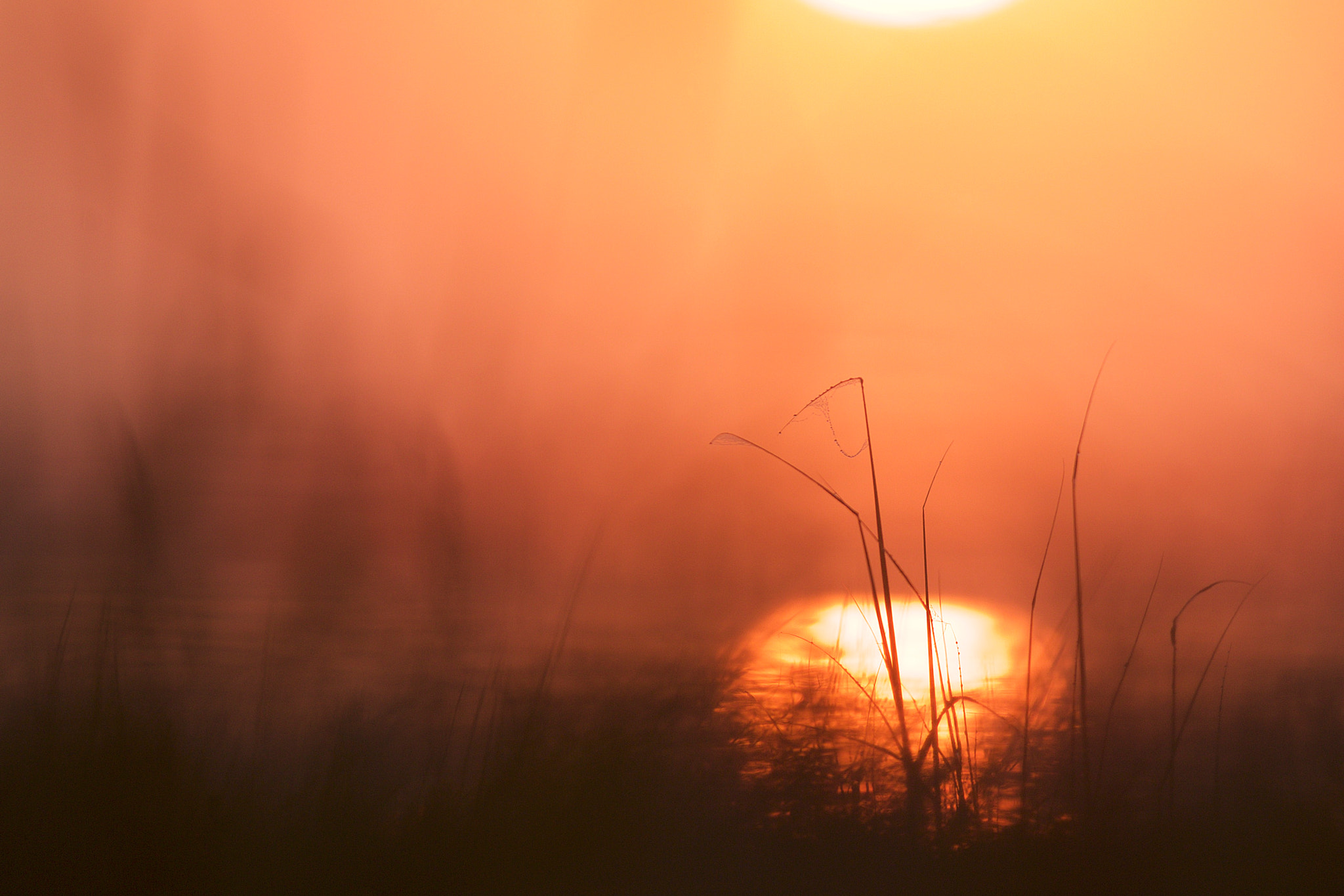 Canon EF 400mm f/2.8L sample photo. Lincolnshire sunrise photography