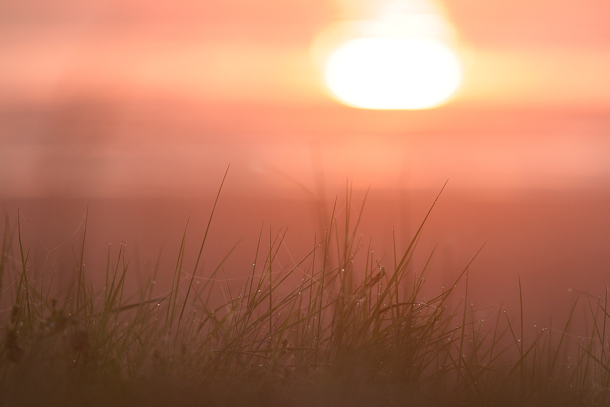 Canon EF 400mm f/2.8L sample photo. Lincolnshiresunrise photography