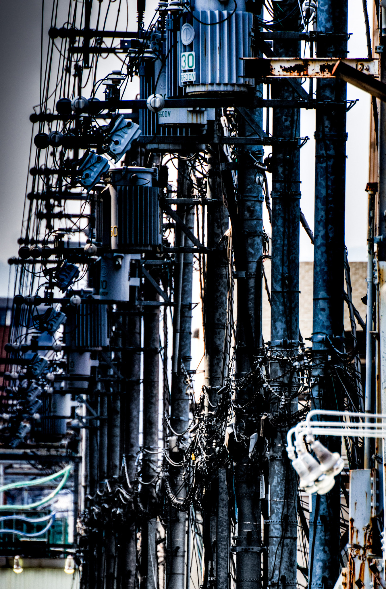 Tamron SP 70-300mm F4-5.6 Di USD sample photo. Row of power trees photography