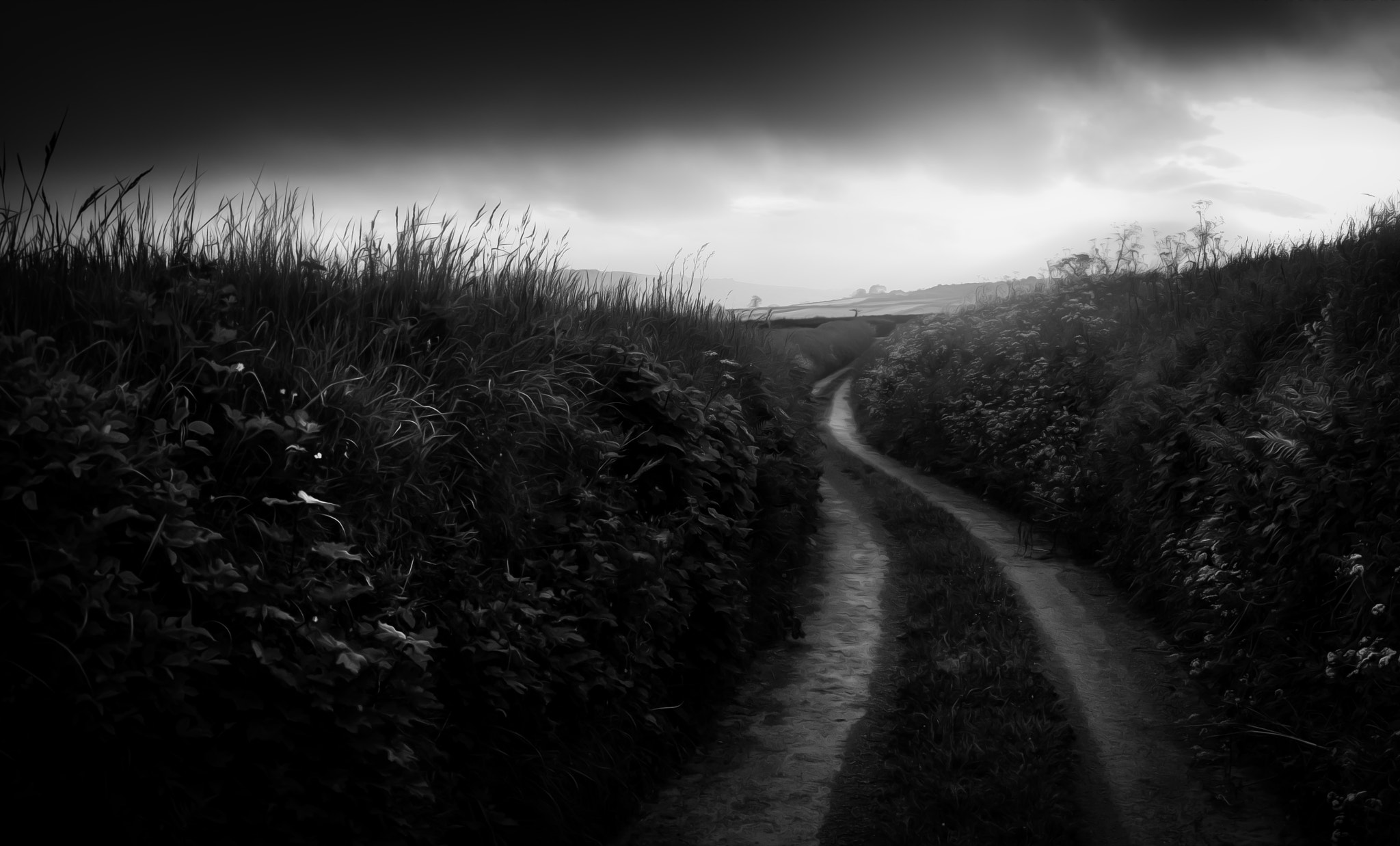 Panasonic Lumix DMC-GX1 sample photo. Along these winding roads photography
