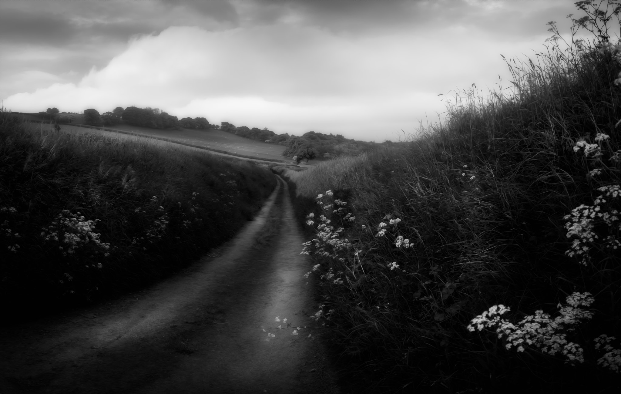 Panasonic Lumix DMC-GX1 sample photo. Walking paths that lead forever on photography