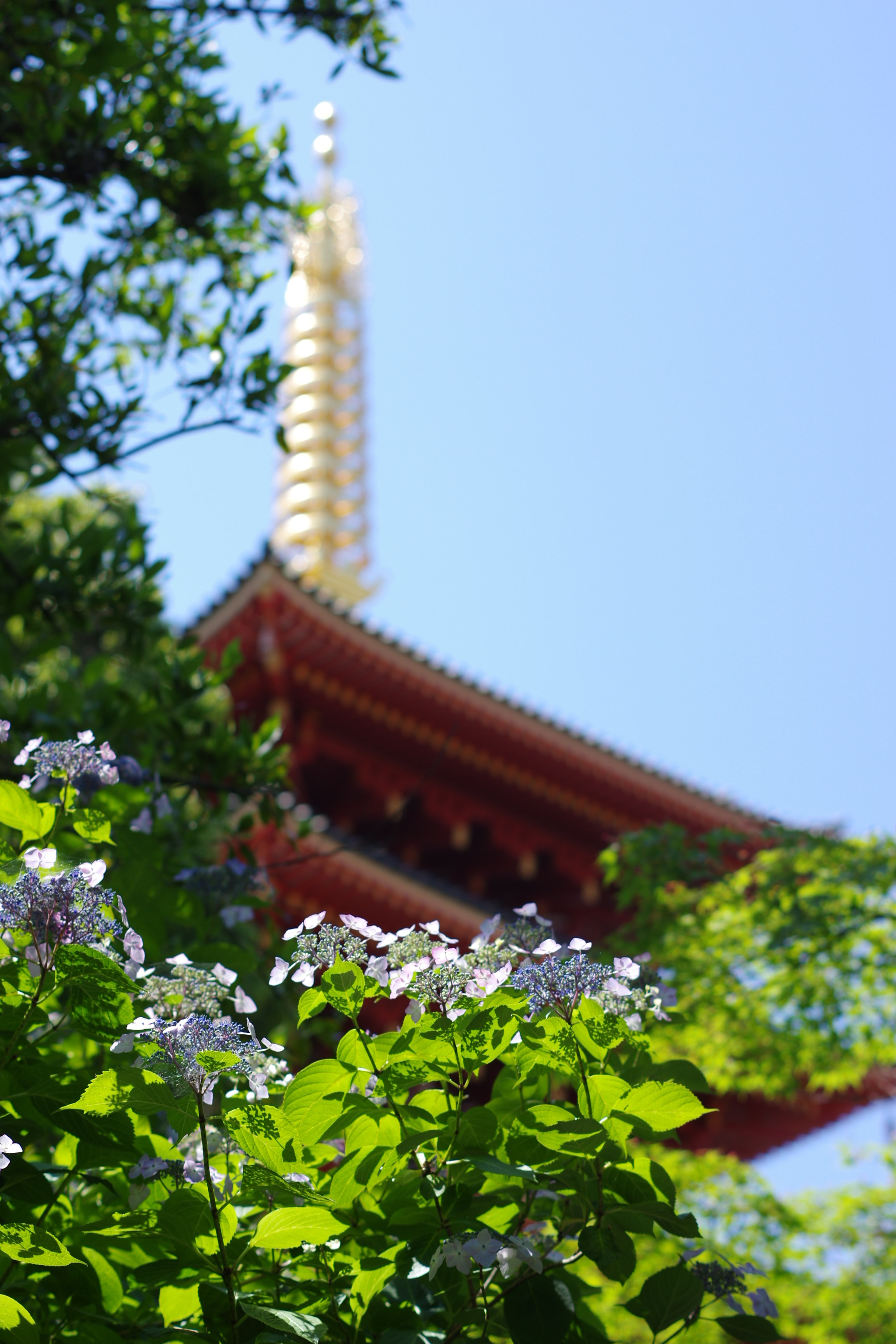 Pentax K-3 II + Pentax smc DA 50mm F1.8 sample photo. Untitled photography
