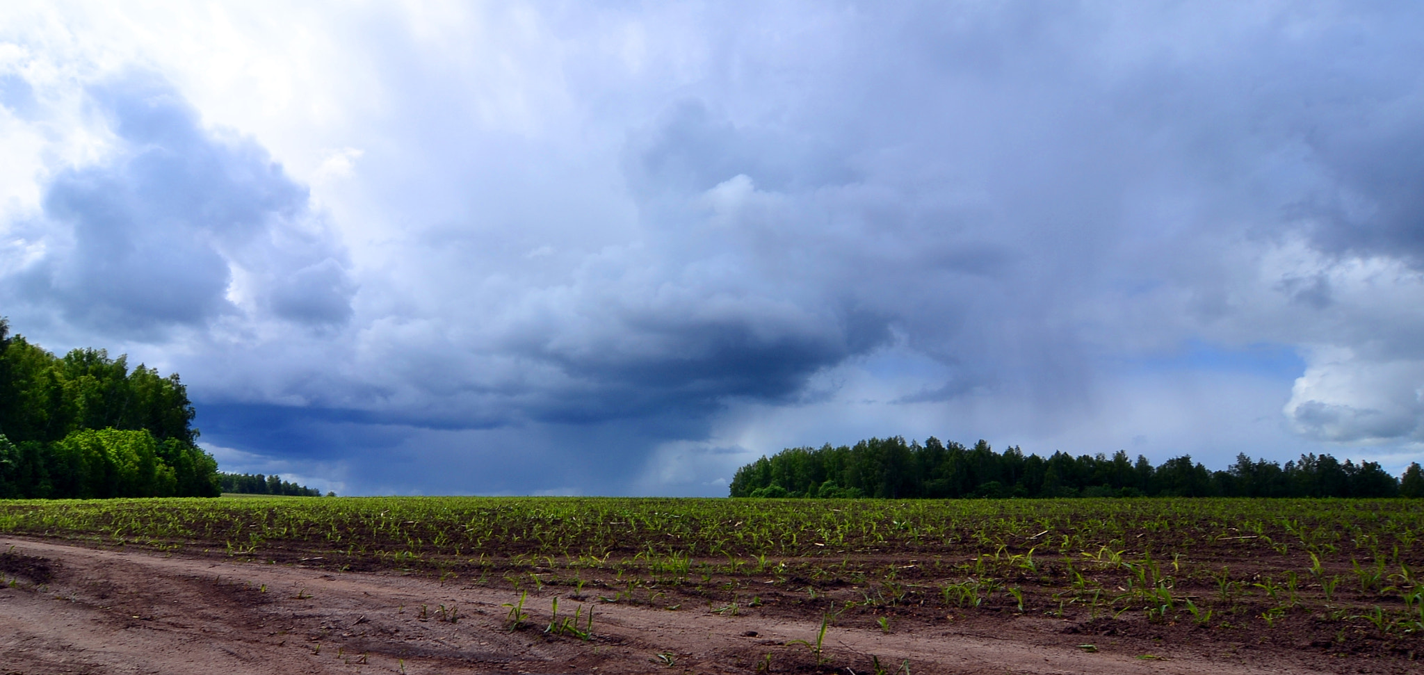 Nikon D3100 sample photo. Rain photography