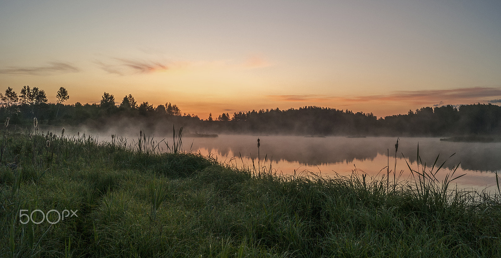 Sony DT 18-55mm F3.5-5.6 SAM II sample photo. Sky... photography