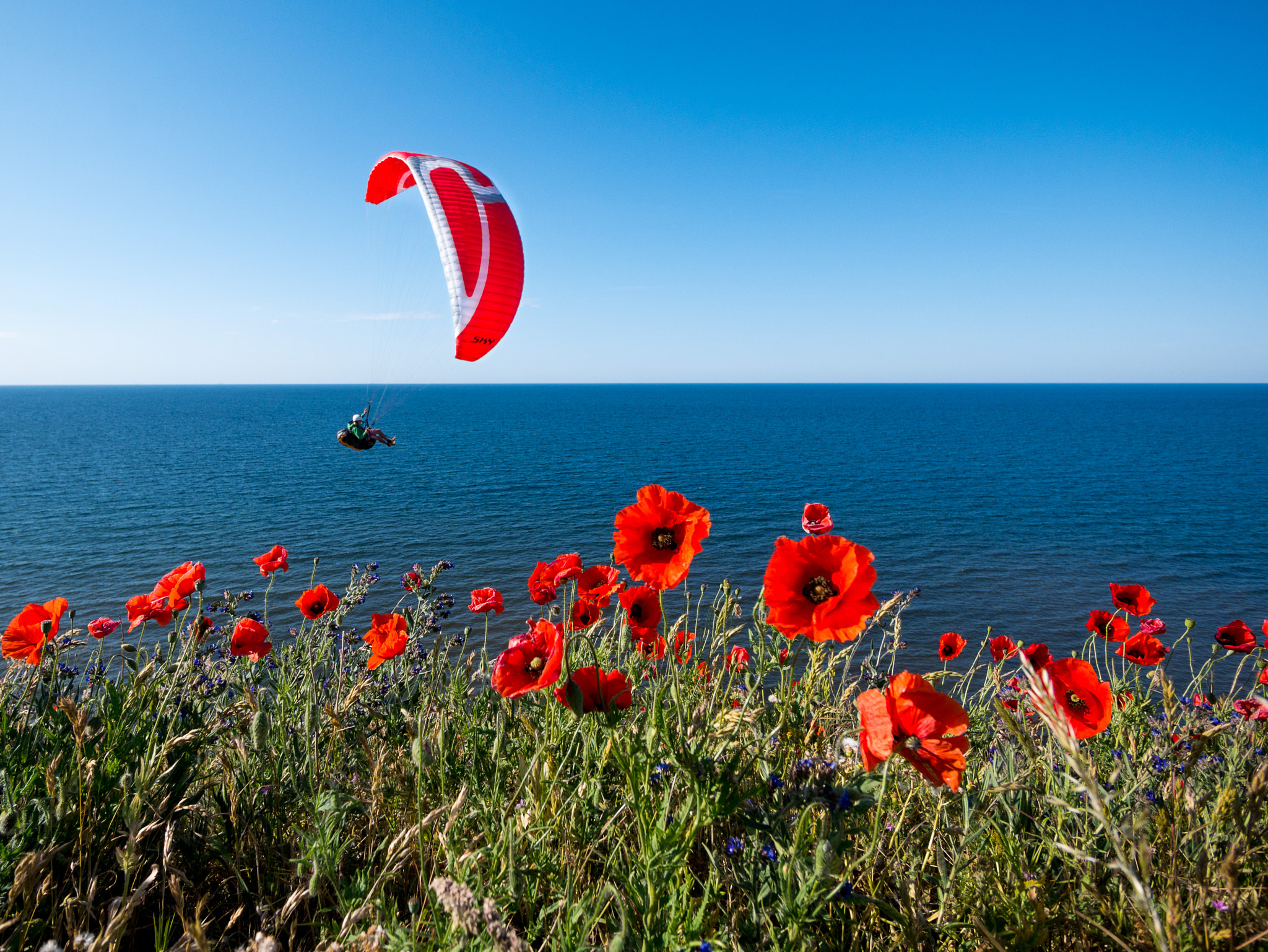 Panasonic Lumix DMC-GX7 + Panasonic Lumix G Vario 7-14mm F4 ASPH sample photo. Cruising the coastline photography