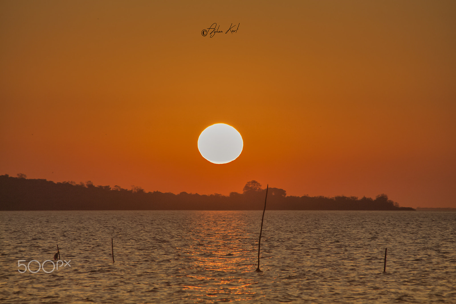 Sigma 18-250mm F3.5-6.3 DC OS HSM sample photo. Big sun photography