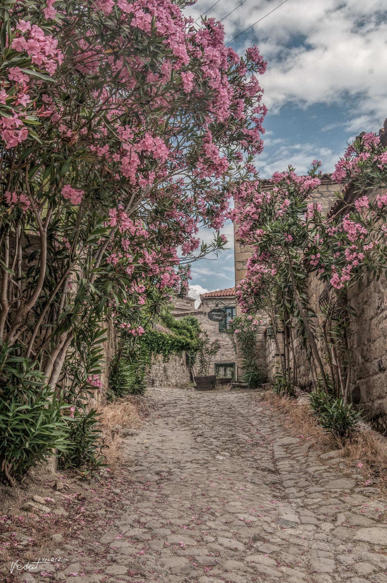 Nikon AF-S Nikkor 28-70mm F2.8 ED-IF sample photo. Back street of adatepe photography