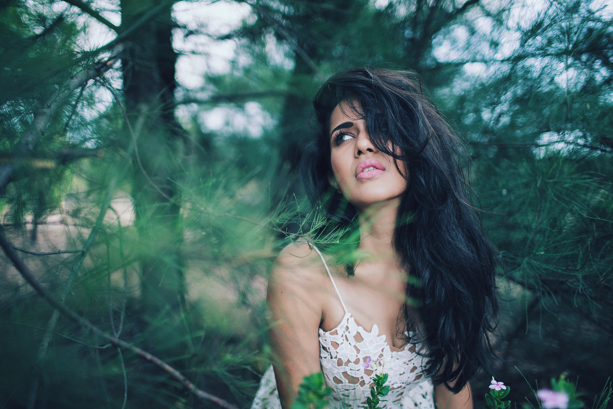 35mm F1.4 G SSM sample photo. In the deep forest #shotbymjk. photographer @mobinkurien photography