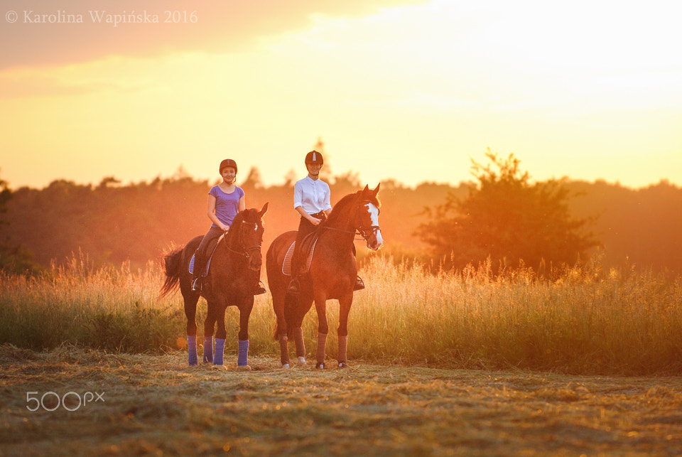 Nikon D3000 sample photo. Focus: sundown photography