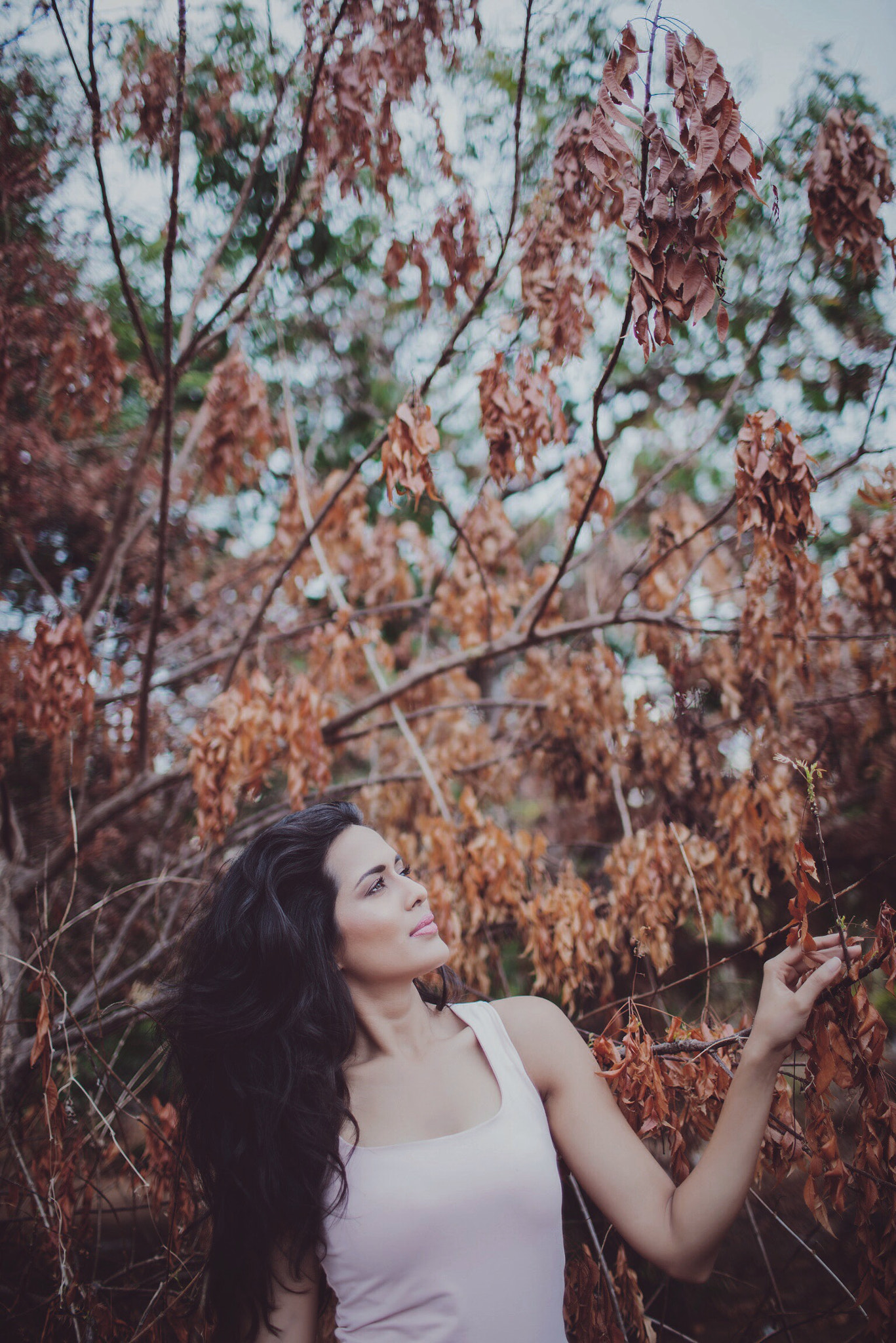 35mm F1.4 G SSM sample photo. Brown sky #shotbymjk. photographer @mobinkurien photography