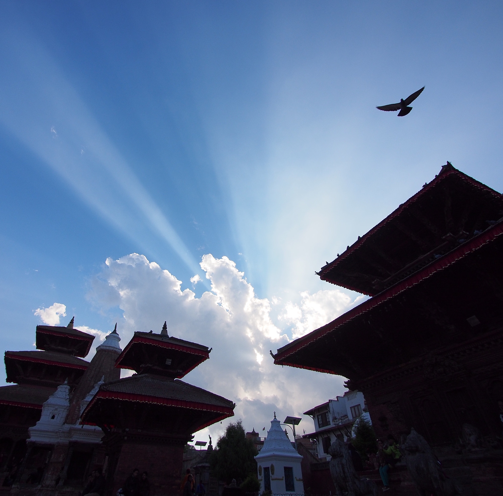 Panasonic Lumix G Vario 7-14mm F4 ASPH sample photo