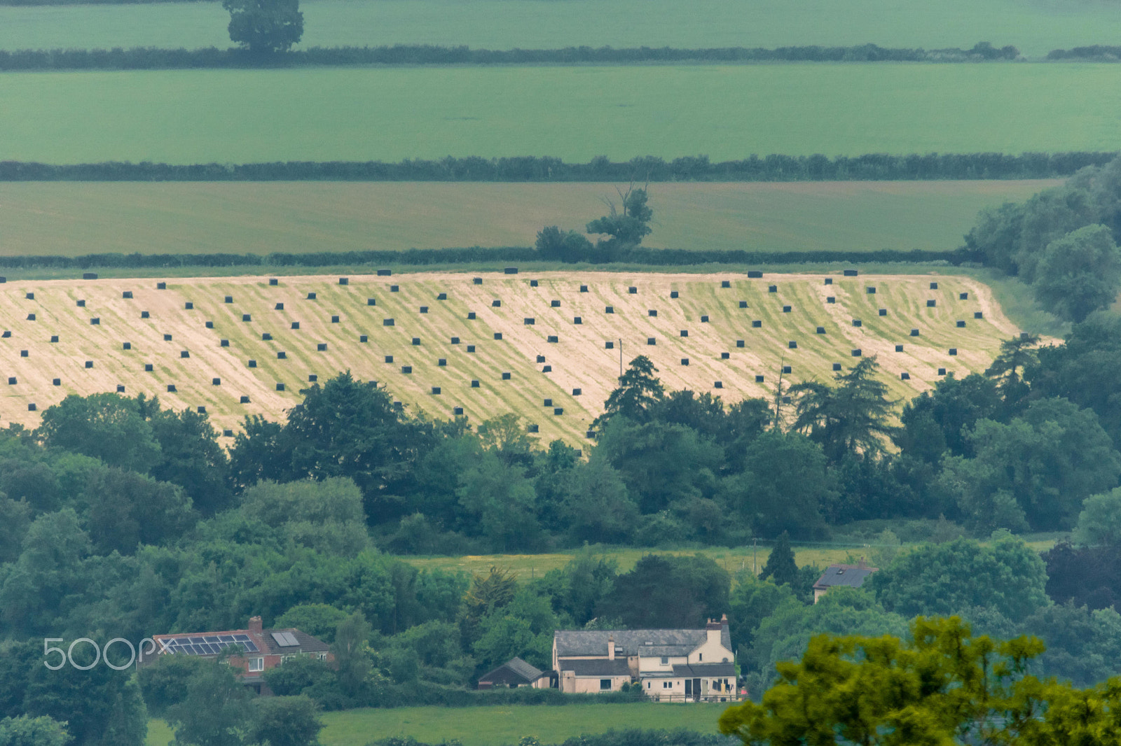 Sigma 150-500mm F5-6.3 DG OS HSM sample photo. Haybails - cotswolds photography