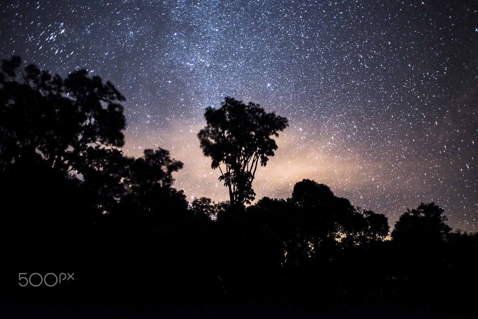 Nikon D800 + Sigma 24mm F1.8 EX DG Aspherical Macro sample photo. Beyond the nature photography