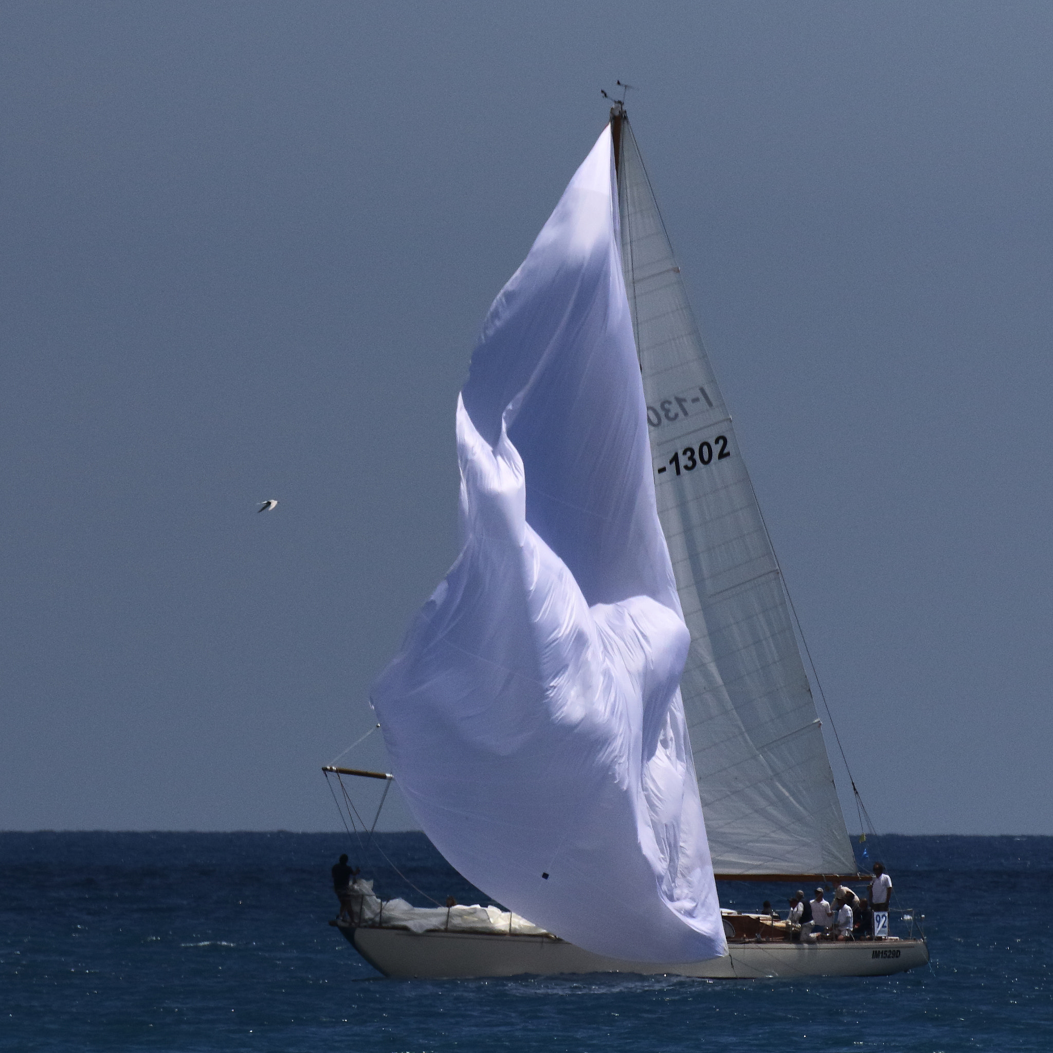 Canon EF 100-400mm F4.5-5.6L IS II USM sample photo. Spi flottant photography