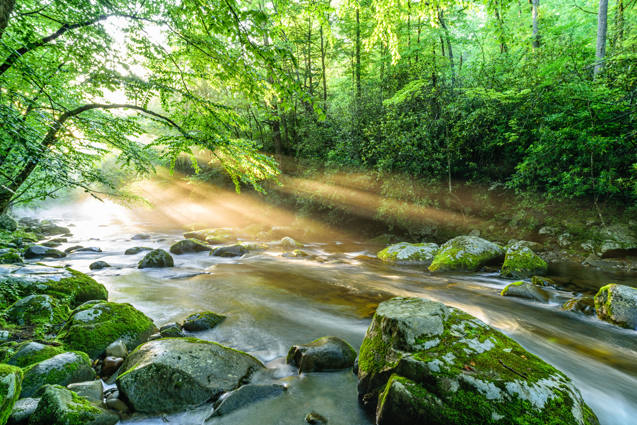 Nikon D750 + ZEISS Milvus 21mm F2.8 sample photo. Last pieces of light on little river photography