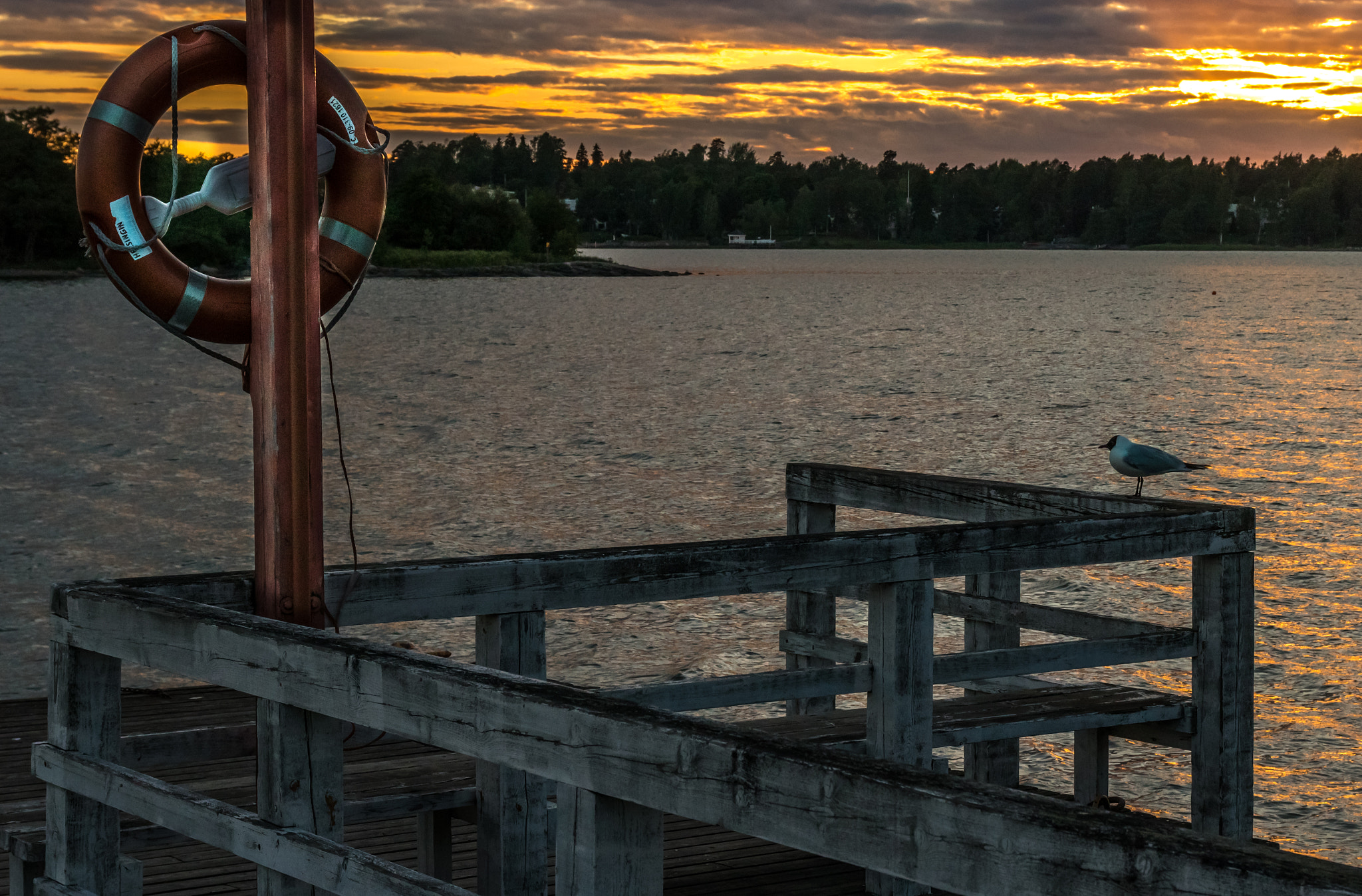 Canon EOS 750D (EOS Rebel T6i / EOS Kiss X8i) sample photo. Moody dock photography