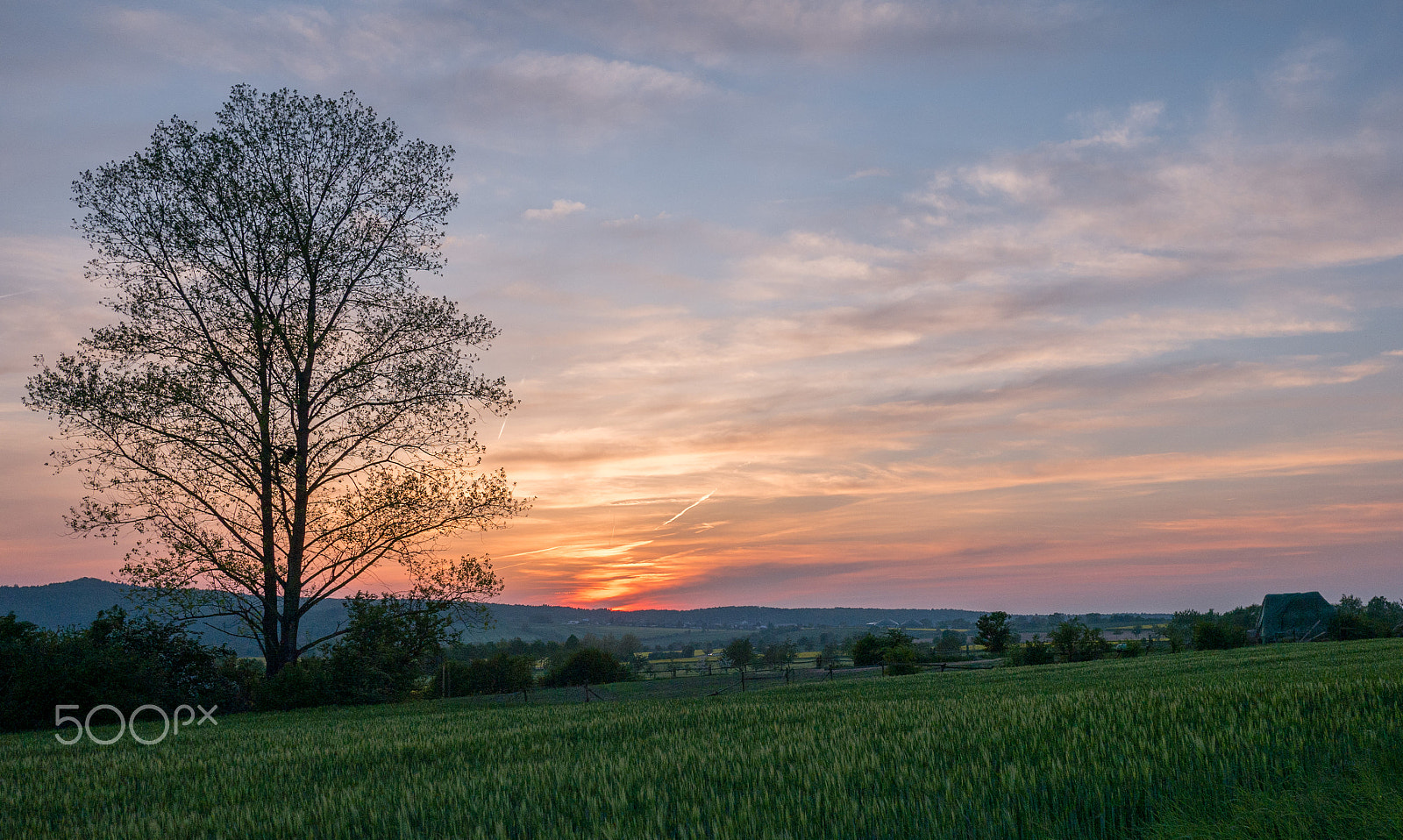 Panasonic Lumix DMC-G7 + LUMIX G 20/F1.7 II sample photo. Sunset in spring photography