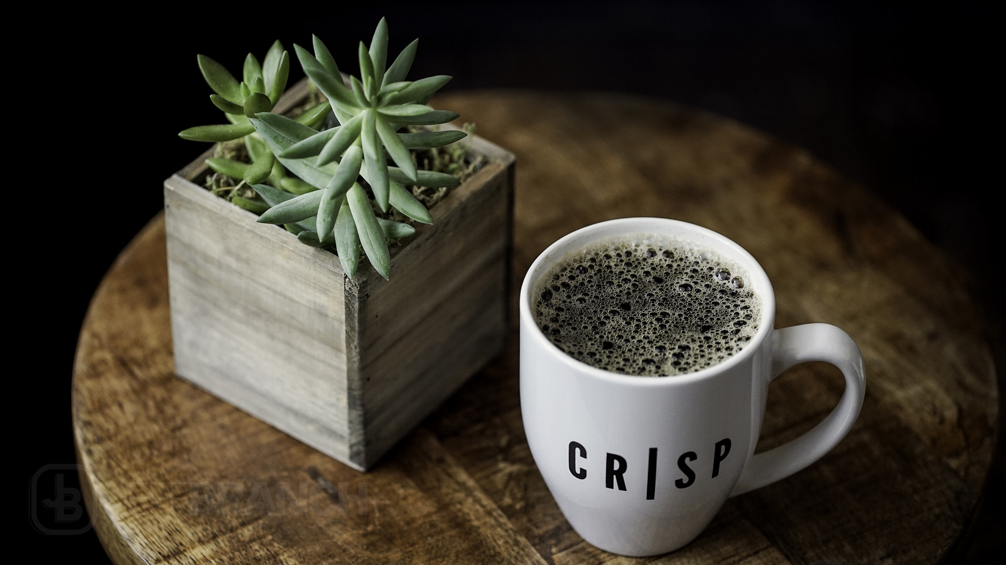 100mm F2.8 OSS sample photo. Succulent coffee photography