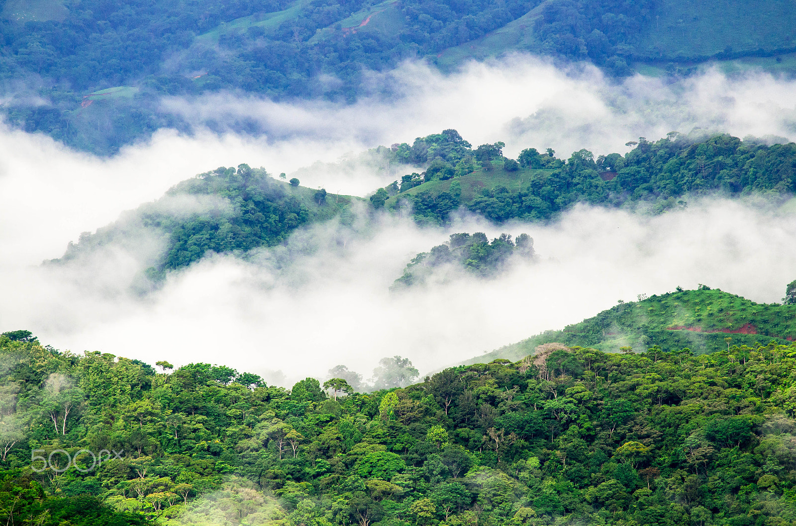 Nikon D7000 + AF Nikkor 300mm f/4 IF-ED sample photo. Ruta 239: puriscal - quepos photography