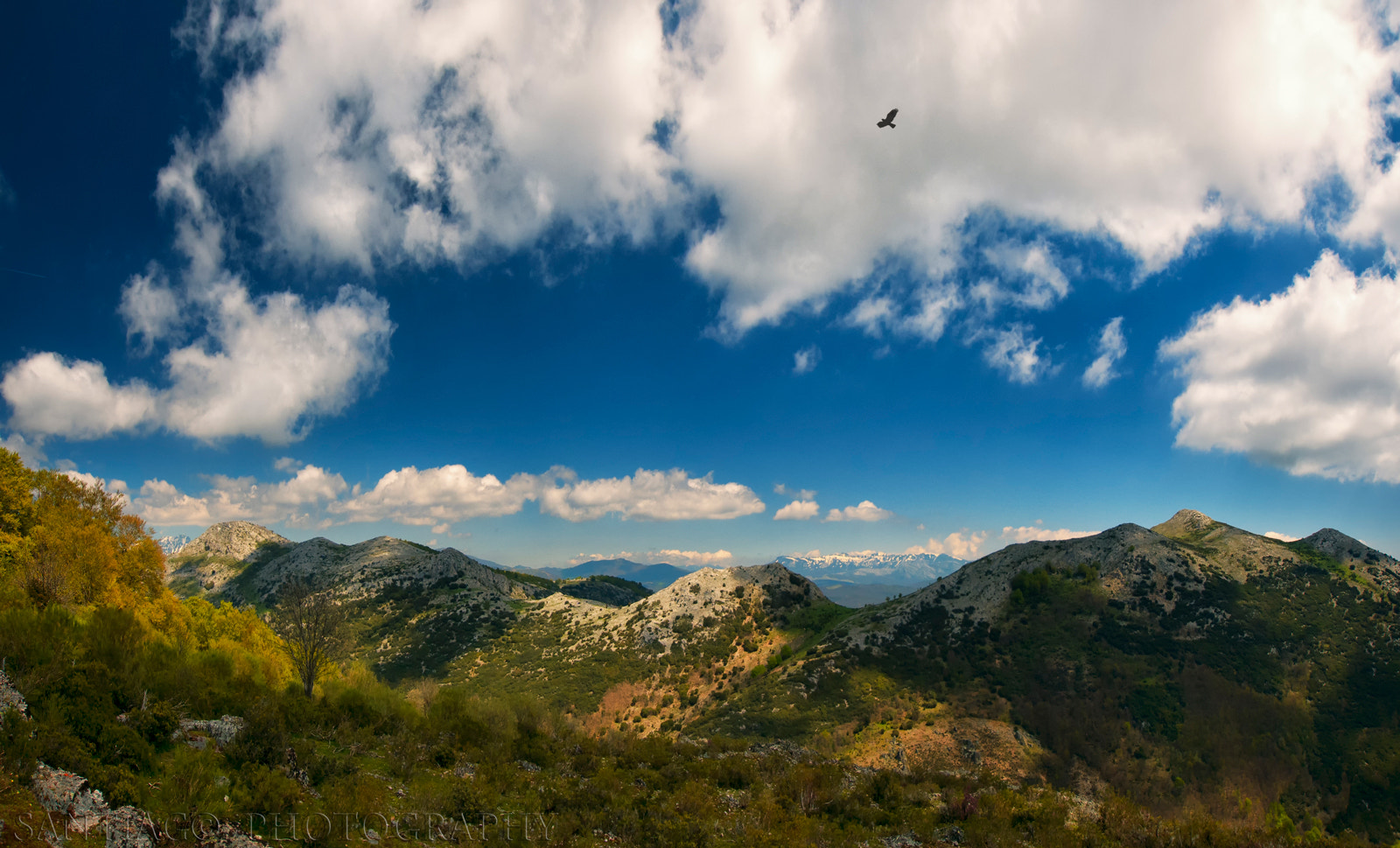 Nikon D300 + Sigma 10-20mm F3.5 EX DC HSM sample photo. Mirador tosande photography