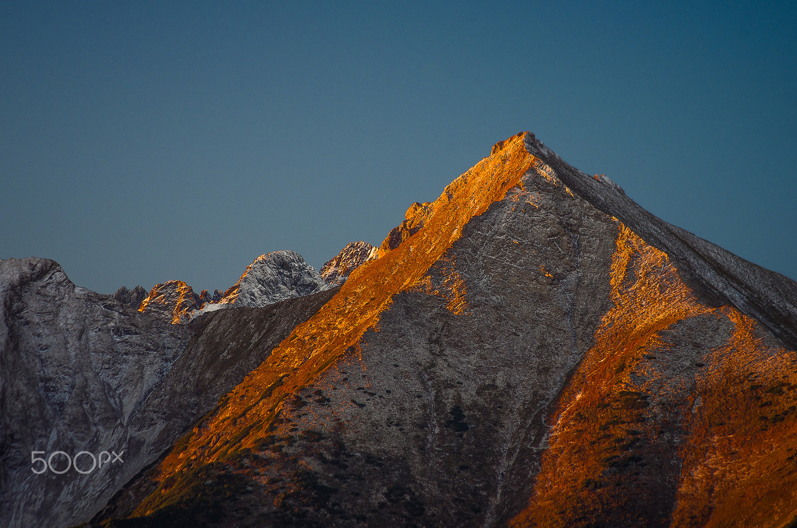 Pentax K-5 II + Pentax smc DA 55-300mm F4.0-5.8 ED sample photo. Havran on morning light.... photography