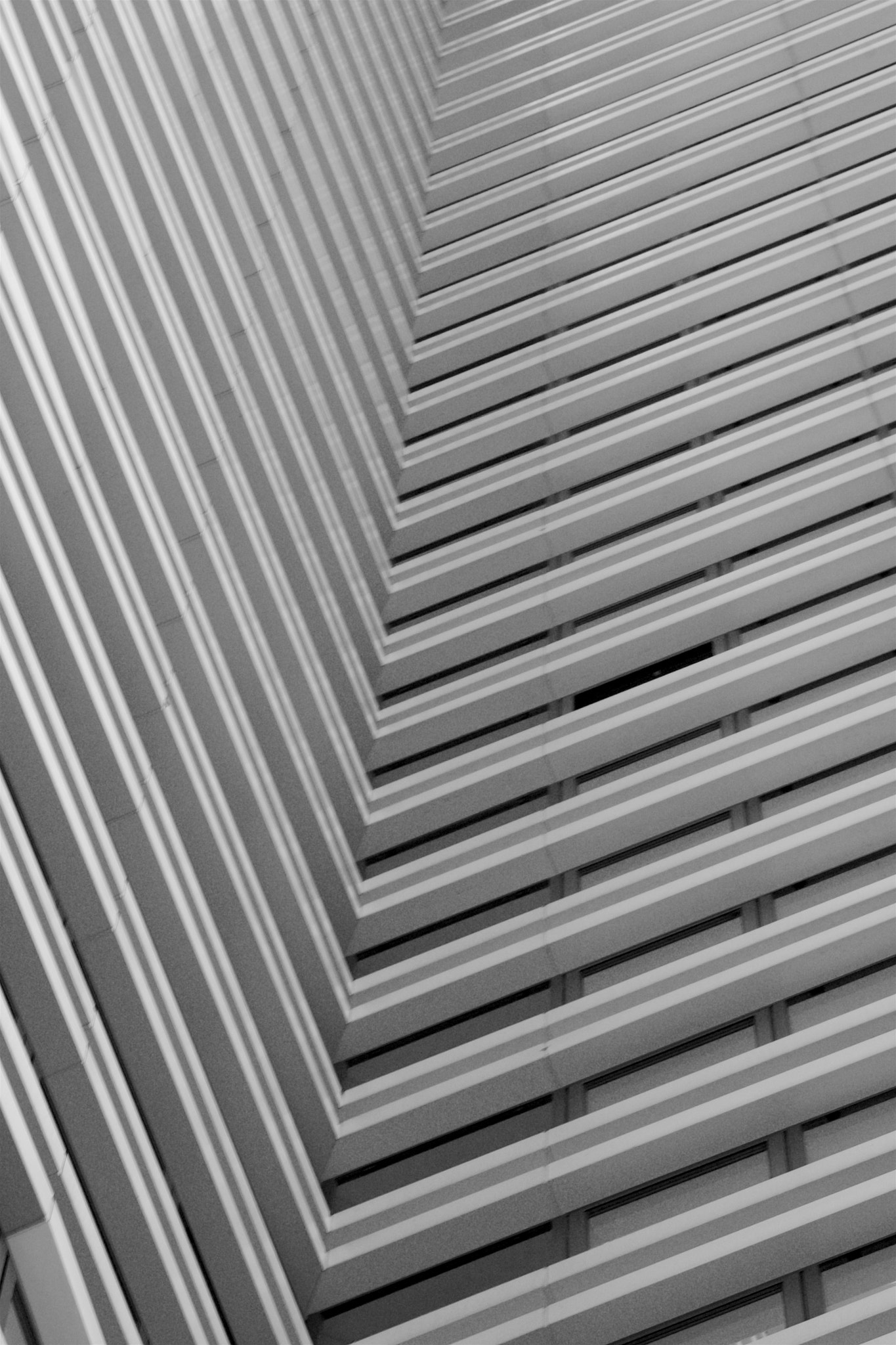Canon EF 70-300mm F4-5.6L IS USM sample photo. Rhythm photography