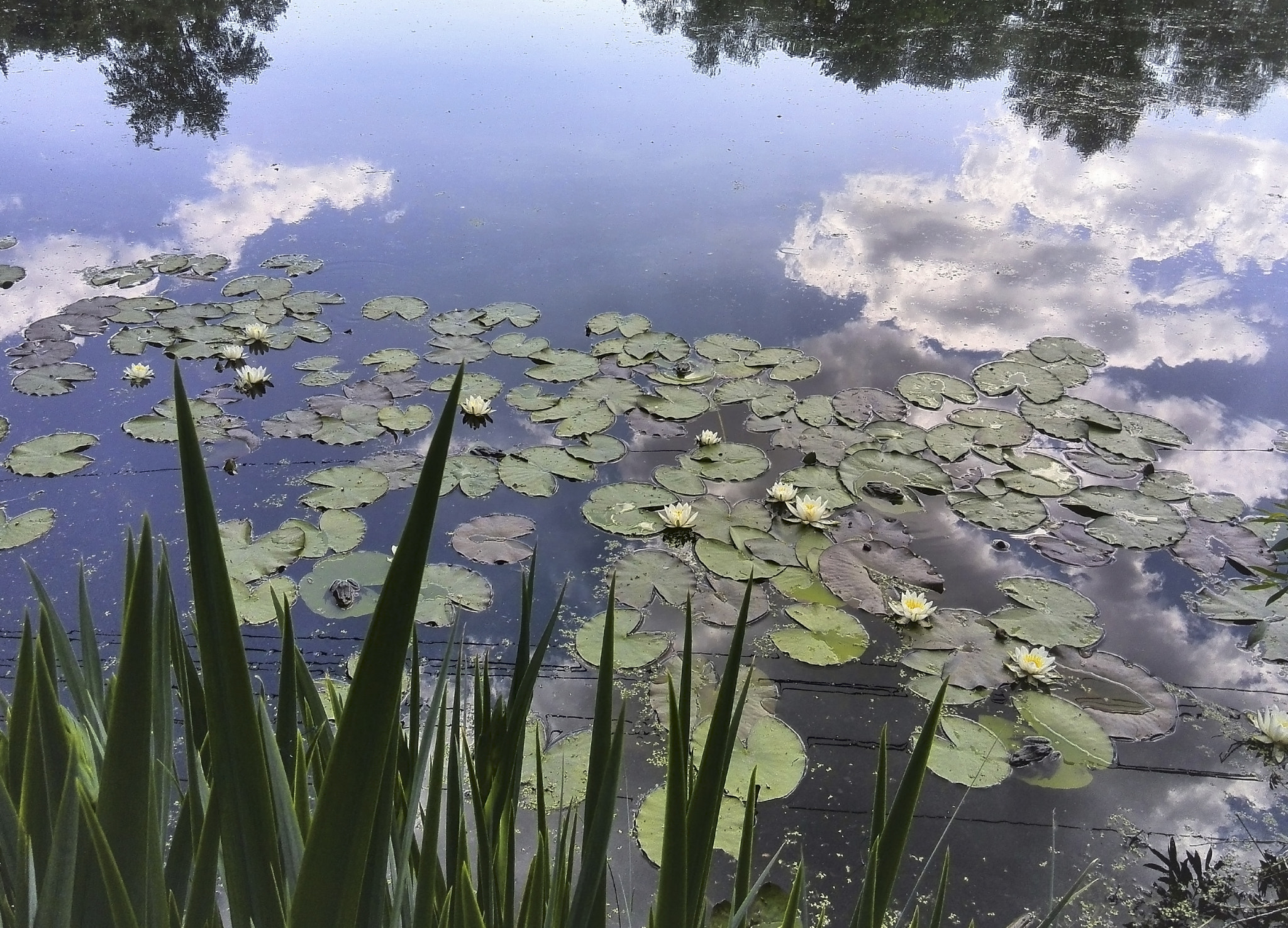 HUAWEI Honor3 sample photo. Water photography