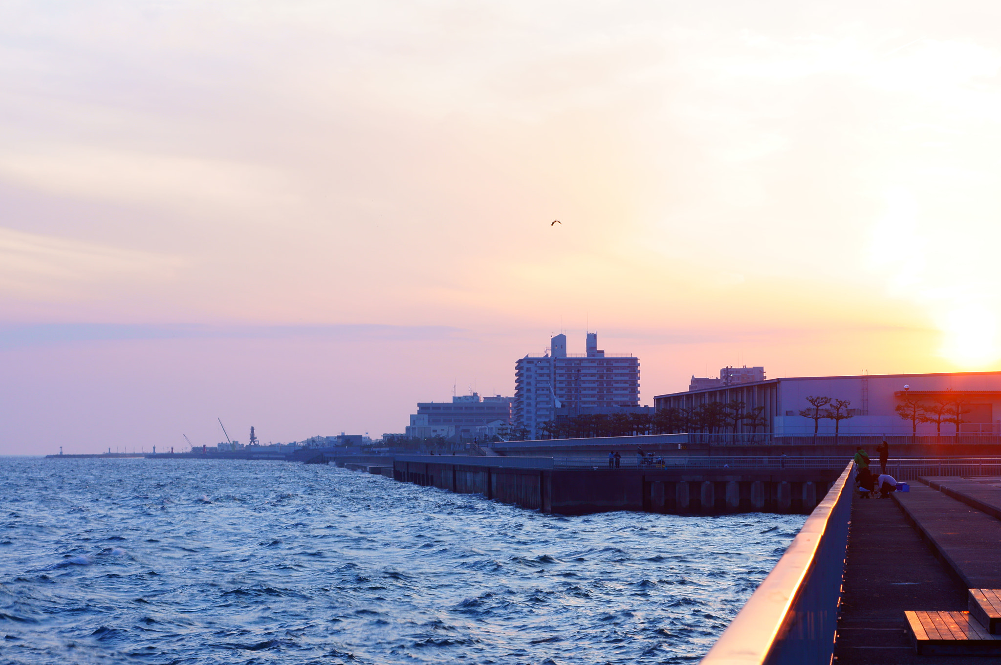 Sony SLT-A55 (SLT-A55V) + Minolta AF 50mm F1.7 sample photo. The sea with sunset-time cloud  (old lens) photography