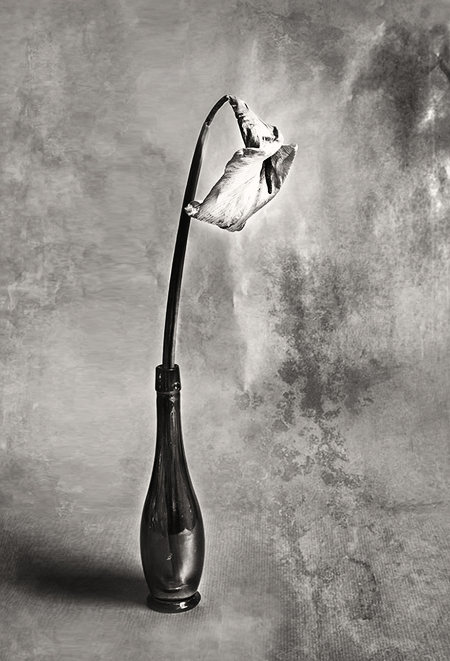 Leica Digilux 3 sample photo. 7 de junio - bodegon en byn photography