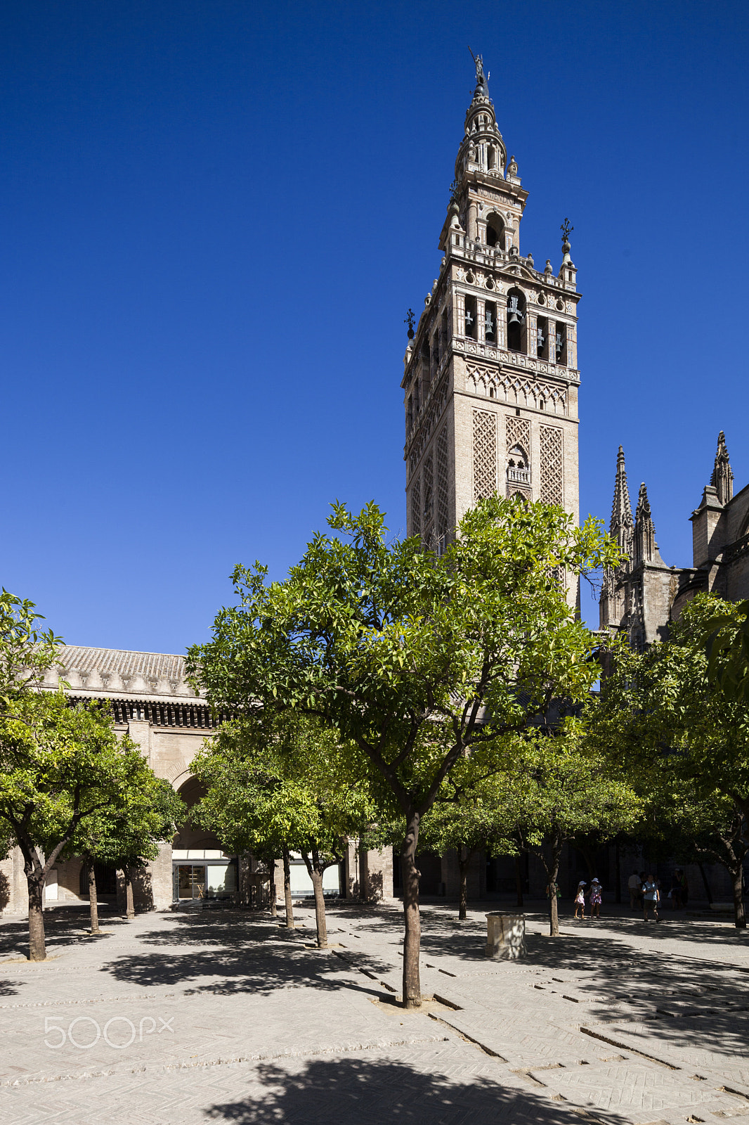 Canon TS-E 17mm F4L Tilt-Shift sample photo. The giralda tower as seen from the patio de los naranjos (orange tree courtyard), seville, spain photography