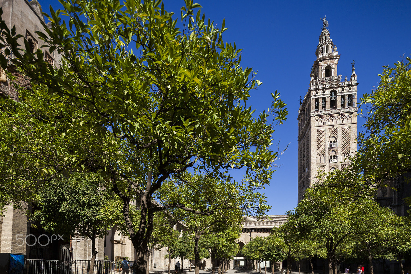 Canon TS-E 17mm F4L Tilt-Shift sample photo. The giralda tower as seen from the patio de los naranjos (orange tree courtyard), seville, spain photography