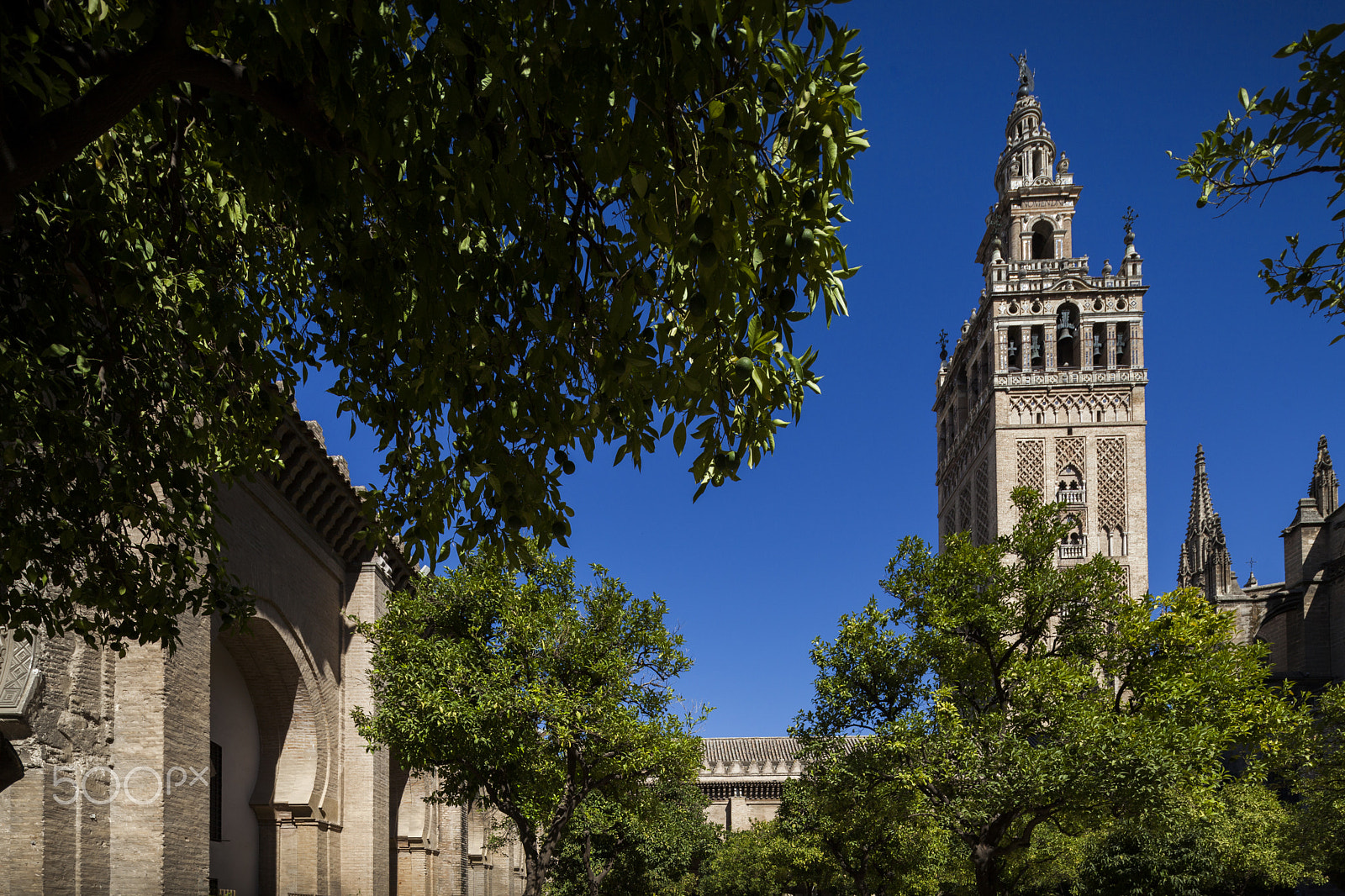 Canon TS-E 17mm F4L Tilt-Shift sample photo. The giralda tower as seen from the patio de los naranjos (orange tree courtyard), seville, spain photography