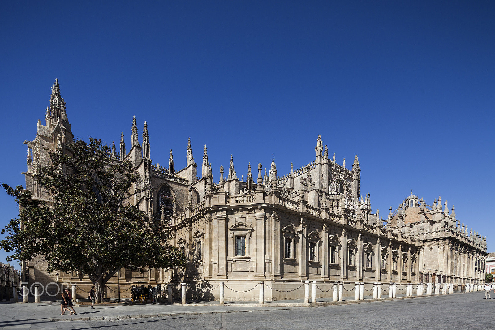 Canon TS-E 17mm F4L Tilt-Shift sample photo. South side of seville cathedral, spain photography