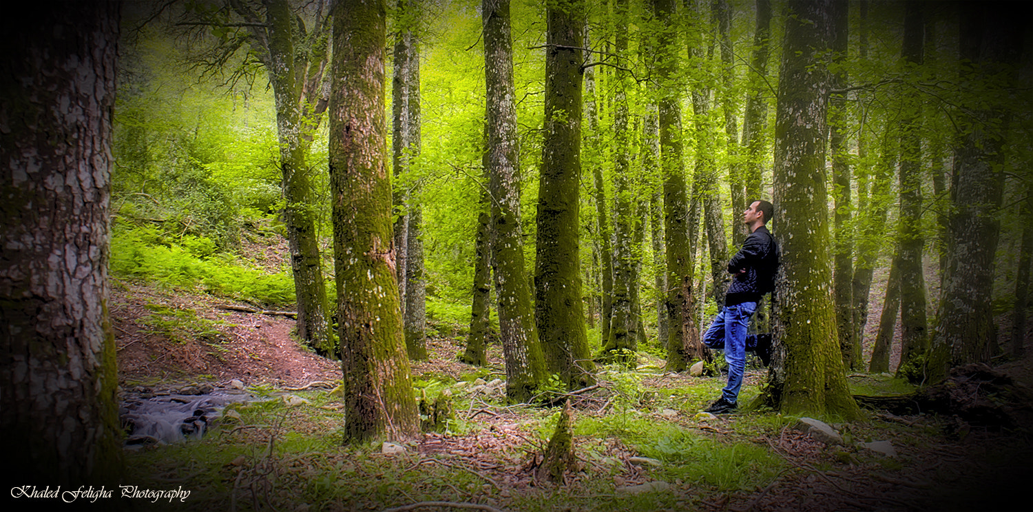 Sigma 18-50mm F2.8-4.5 DC OS HSM sample photo. Forest photography