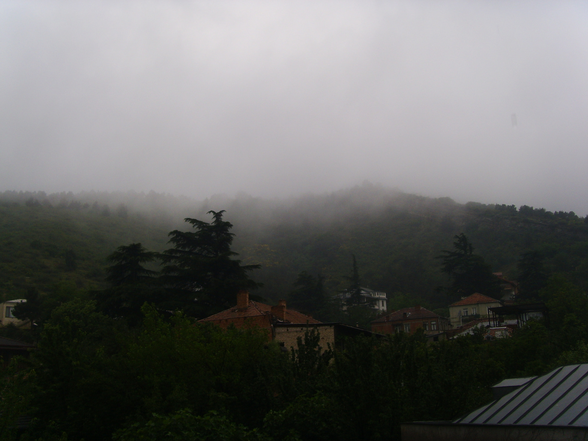 DIGITAL CAM sample photo. Fog photography