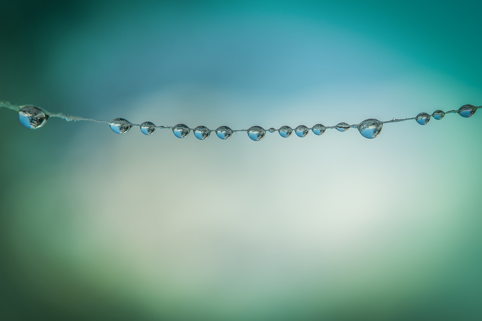 Nikon AF-S Micro-Nikkor 60mm F2.8G ED sample photo. Drops photography