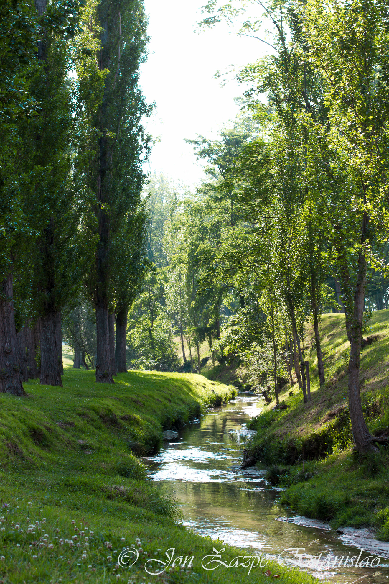 Canon EOS 7D + Canon EF 50mm F1.4 USM sample photo. The river photography