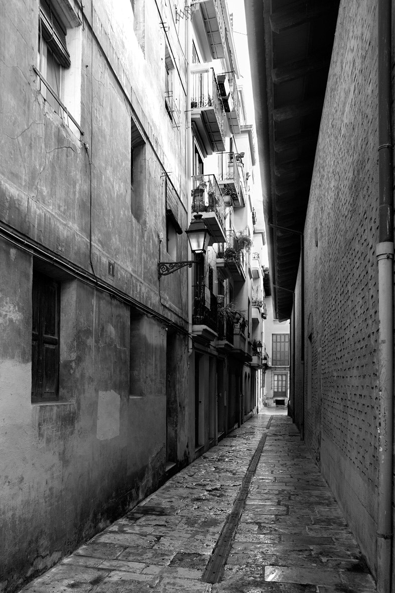 Canon EF 20-35mm f/2.8L sample photo. Carrer estret de l'almodí photography